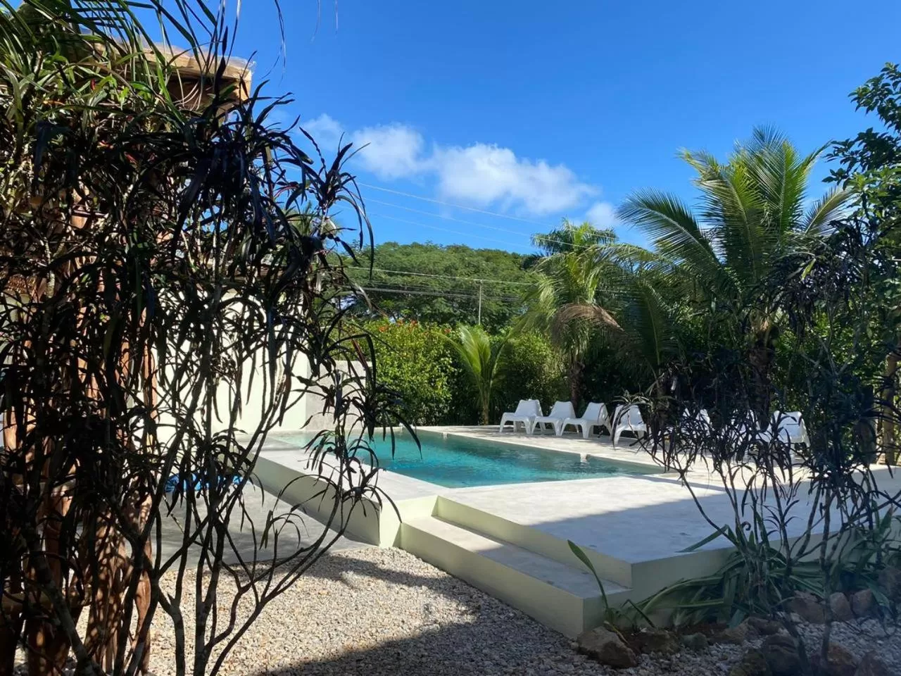 Pool view in Residencia El Balatà