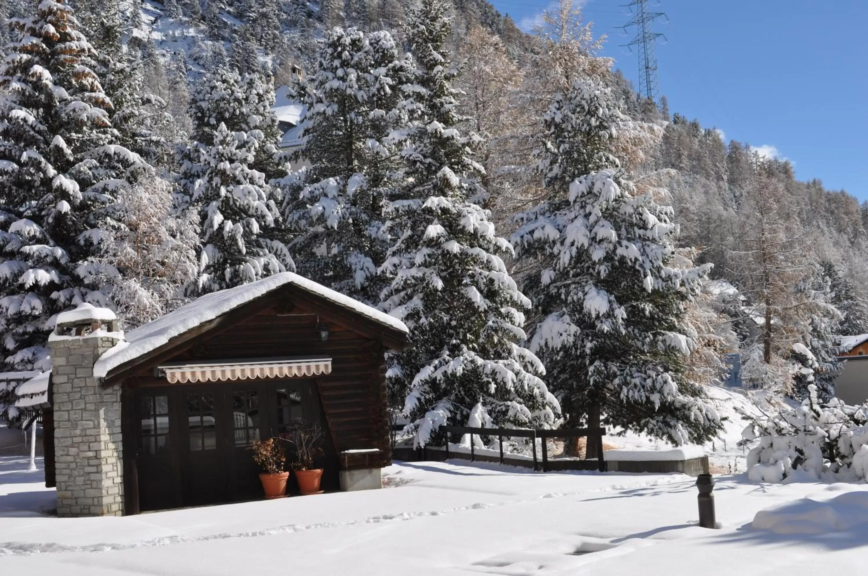 Garden, Winter in Hotel Bernina