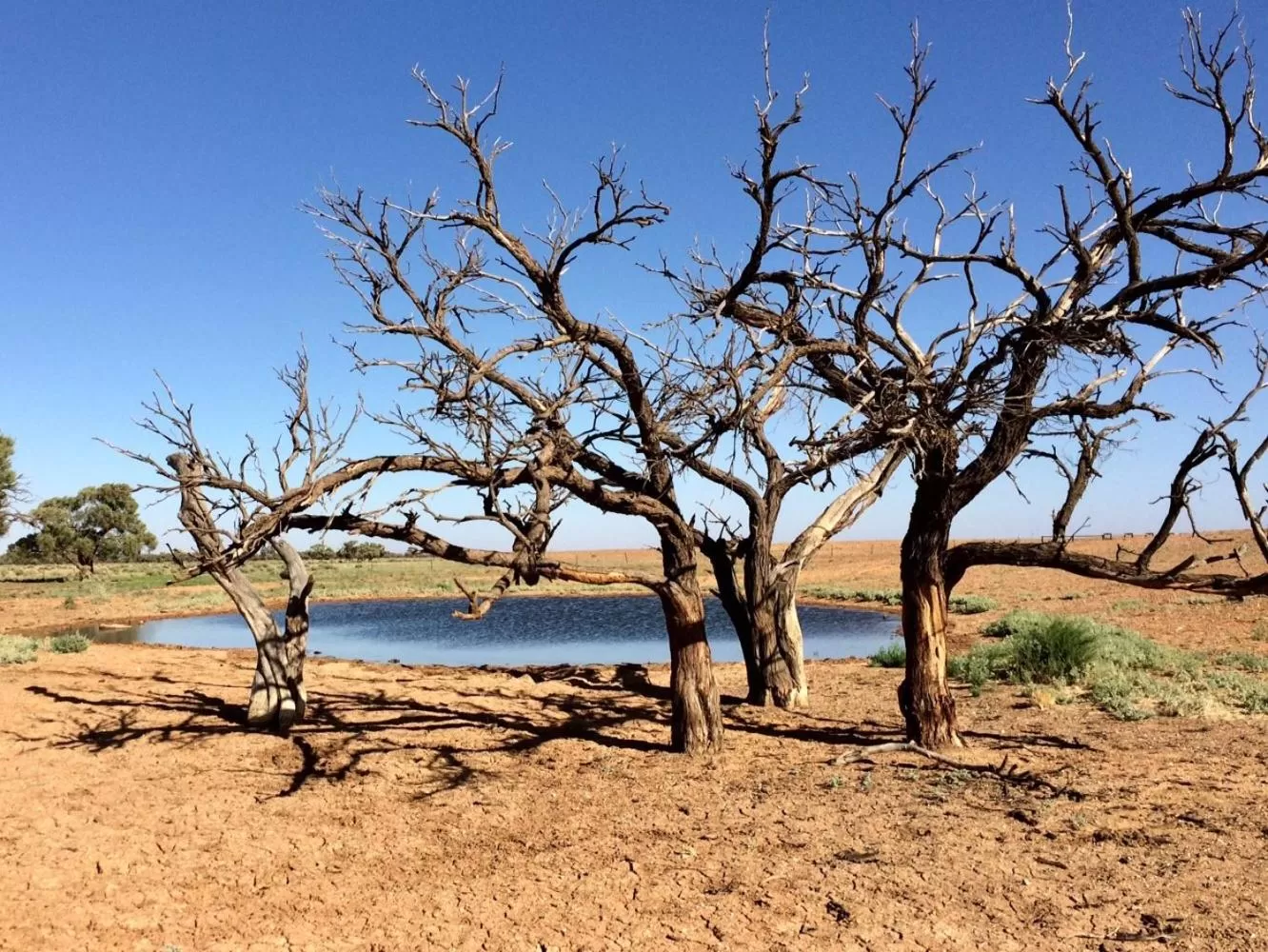 Day in Opal Inn Hotel, Motel, Caravan Park