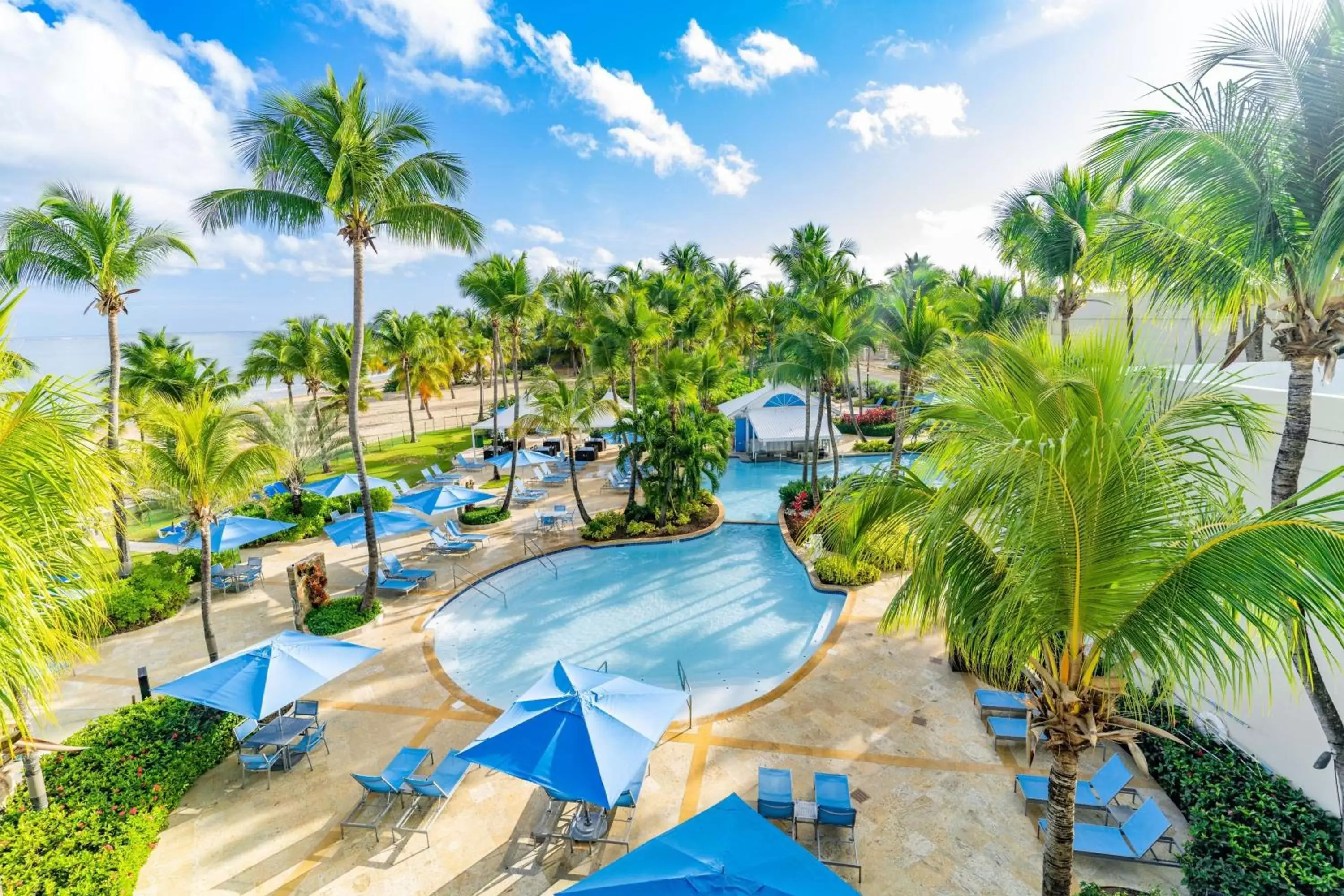 Swimming pool, Pool View in Courtyard by Marriott Isla Verde Beach Resort