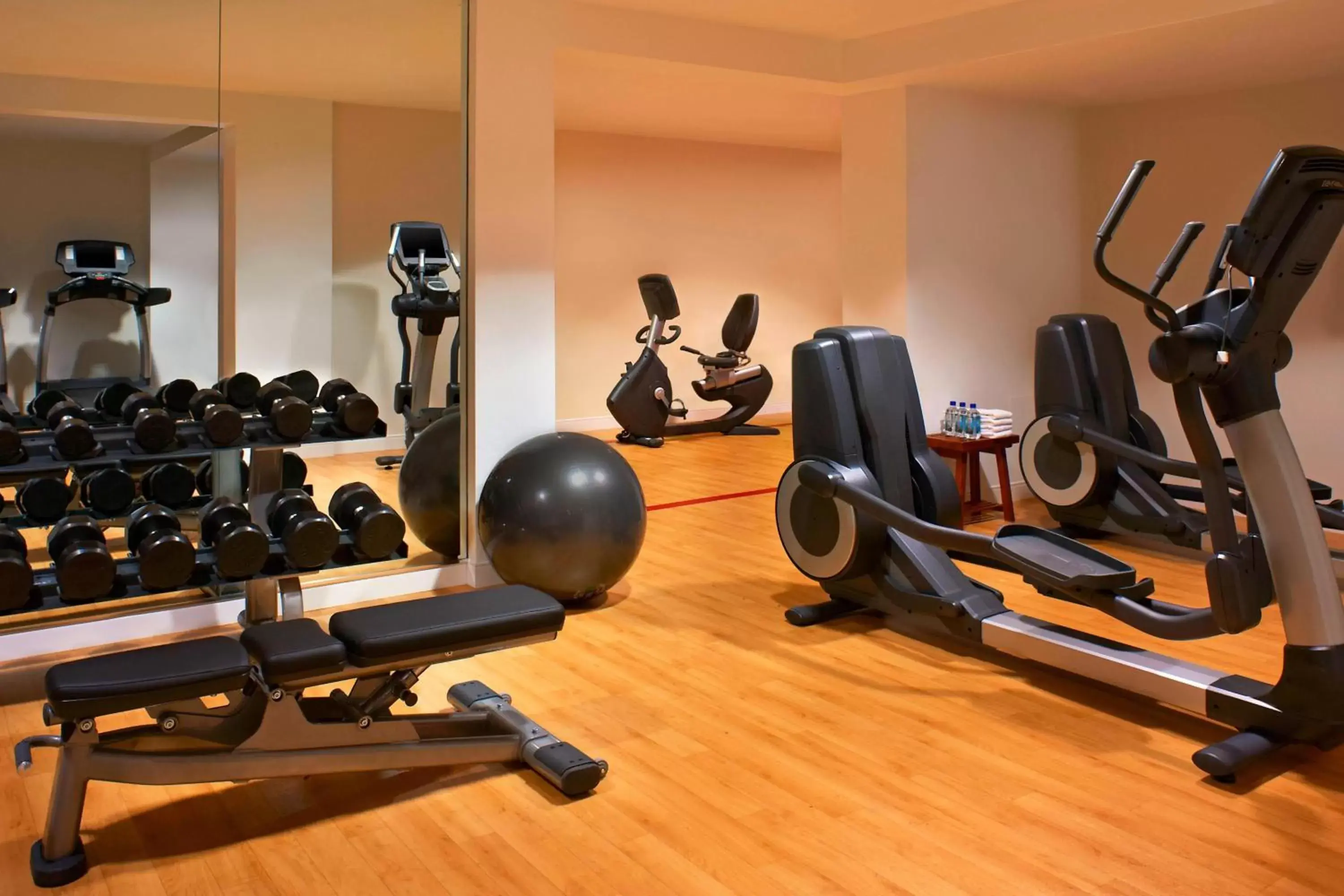 Fitness centre/facilities, Fitness Center/Facilities in Le Meridien Delfina Santa Monica
