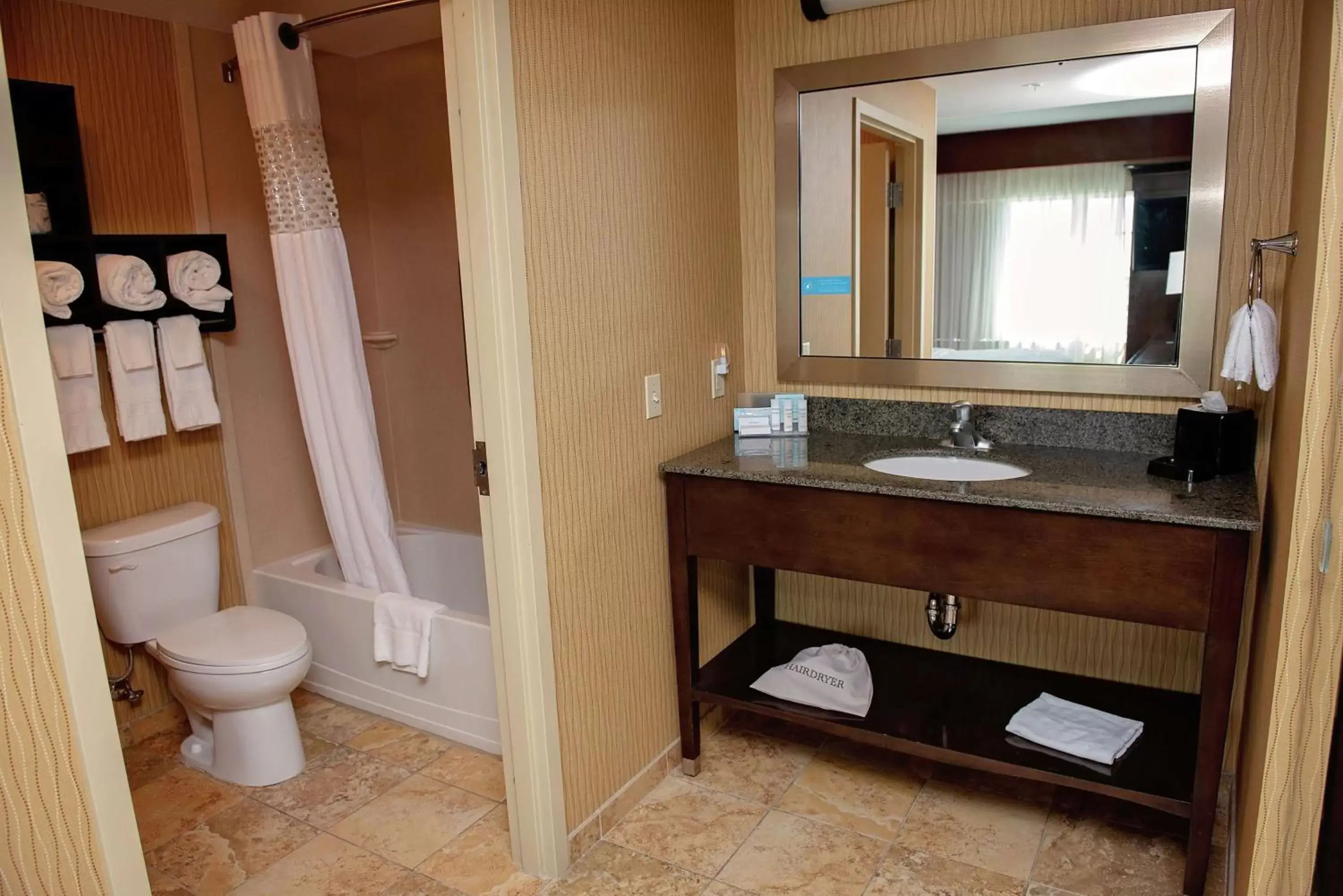 Bathroom in Hampton Inn & Suites Bradenton