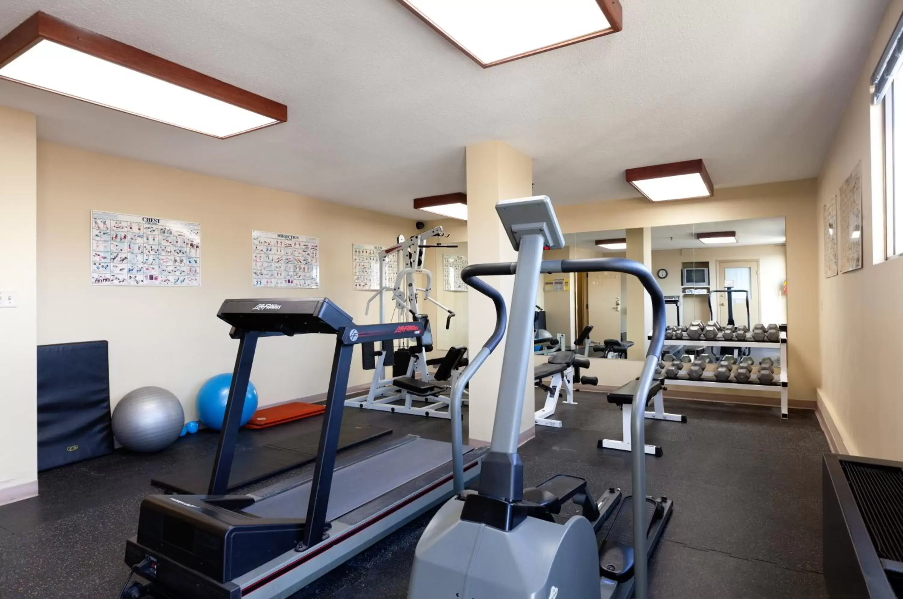 Fitness centre/facilities, Fitness Center/Facilities in The Royal Anne Hotel