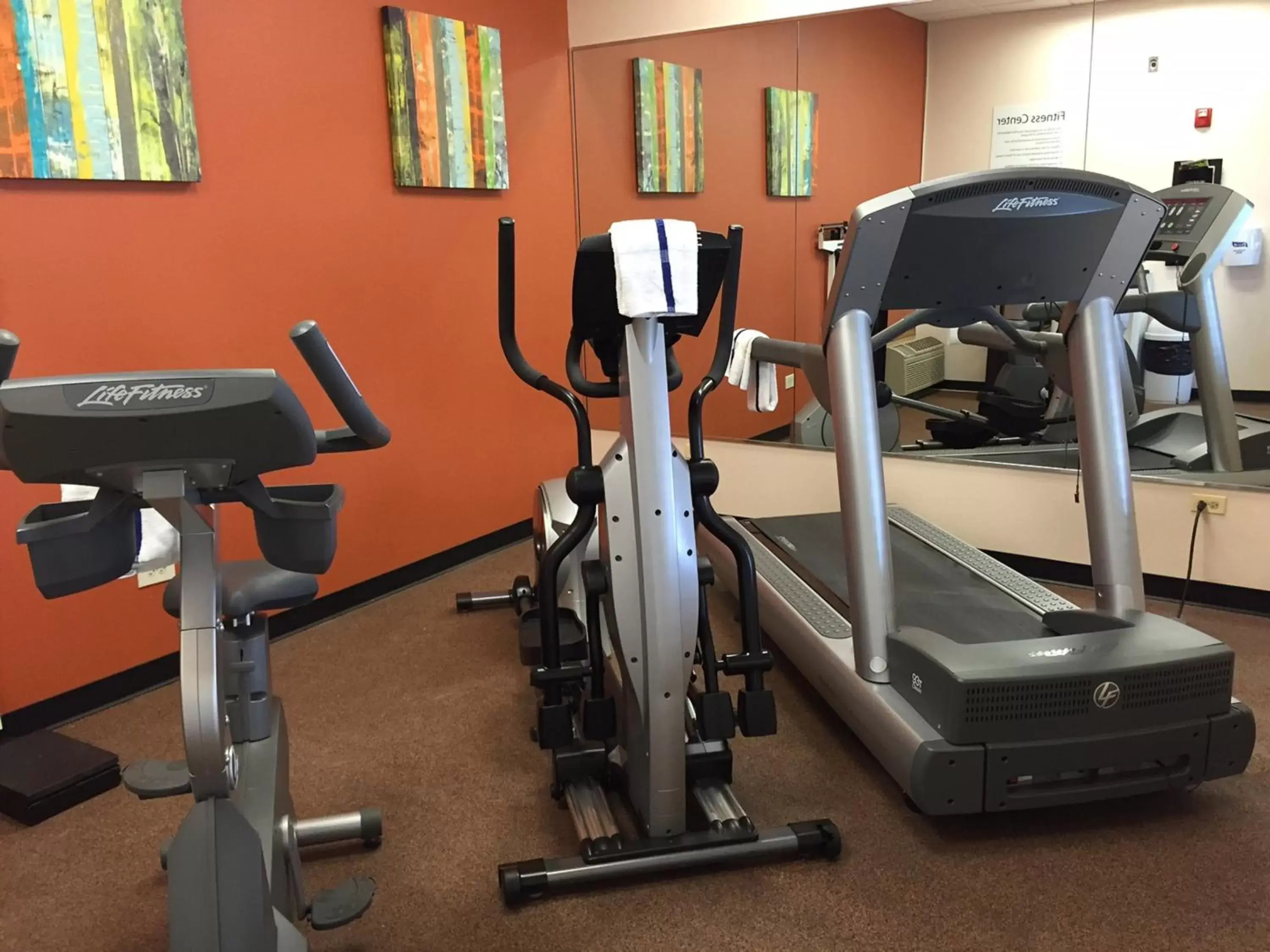Fitness centre/facilities, Fitness Center/Facilities in Holiday Inn Express Hotel & Suites Chicago-Algonquin, an IHG Hotel