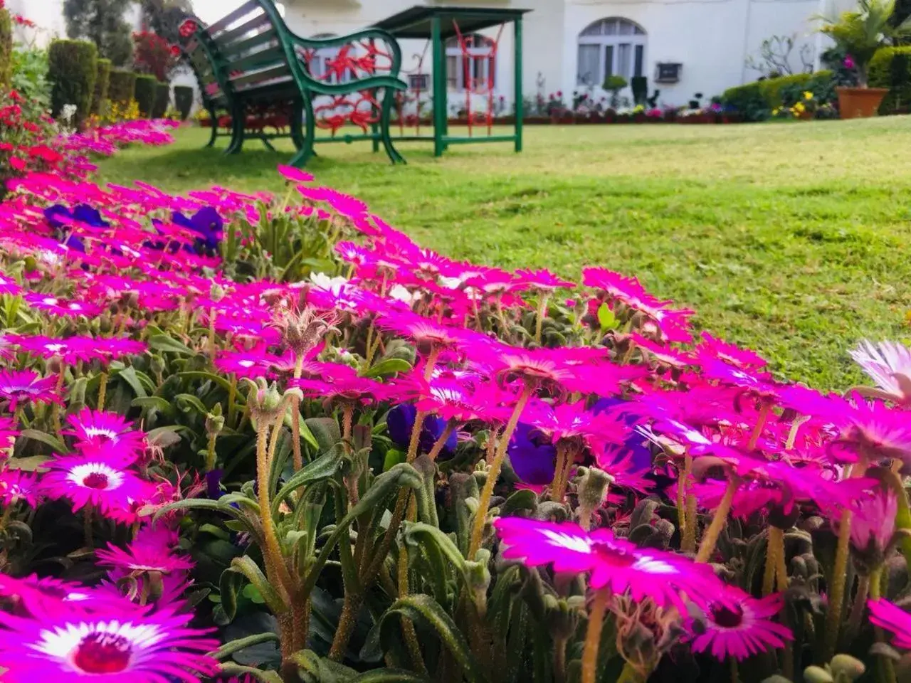 Garden in Hotel Asia Vaishnodevi