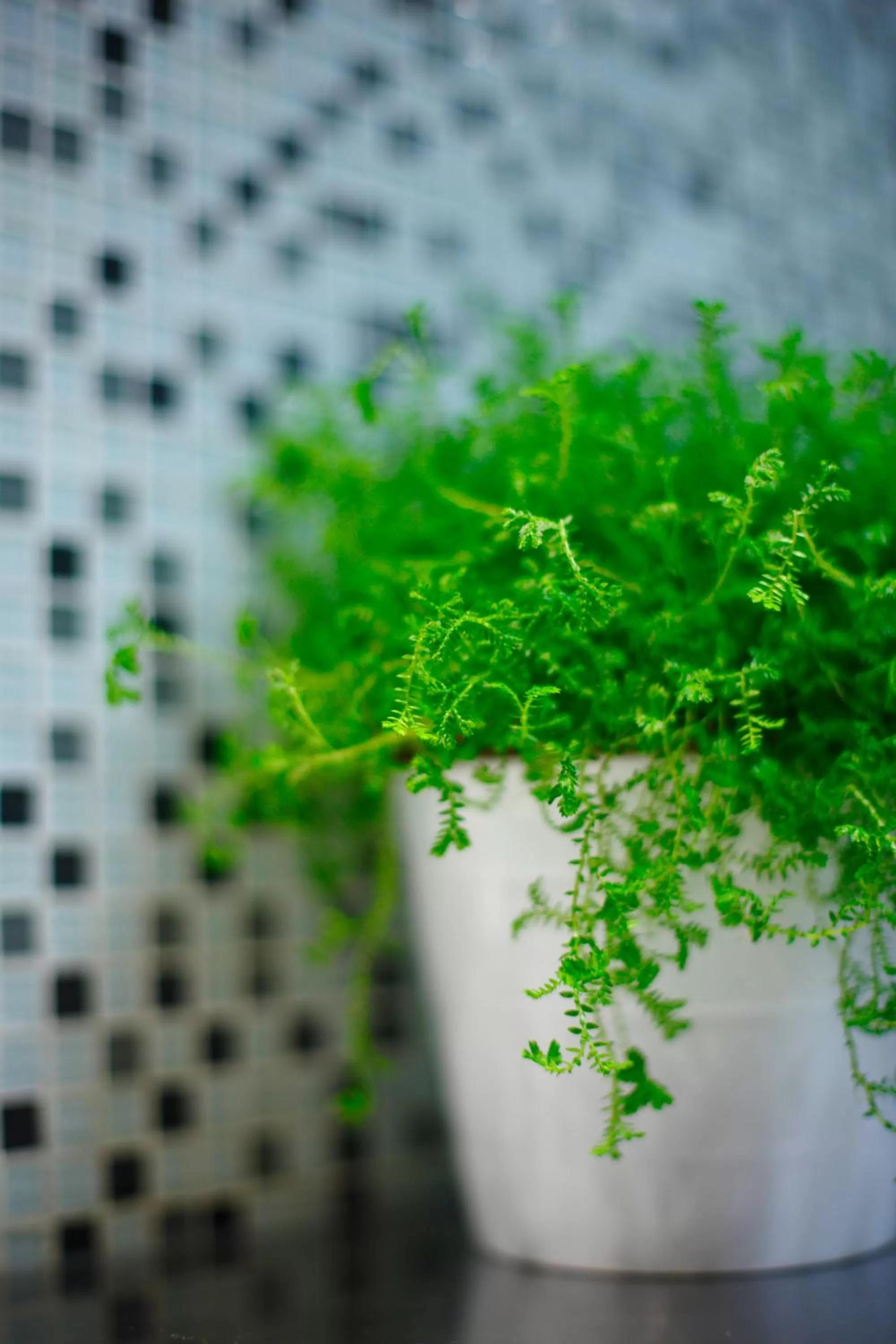 Bathroom in Modena by Fraser Putuo Shanghai