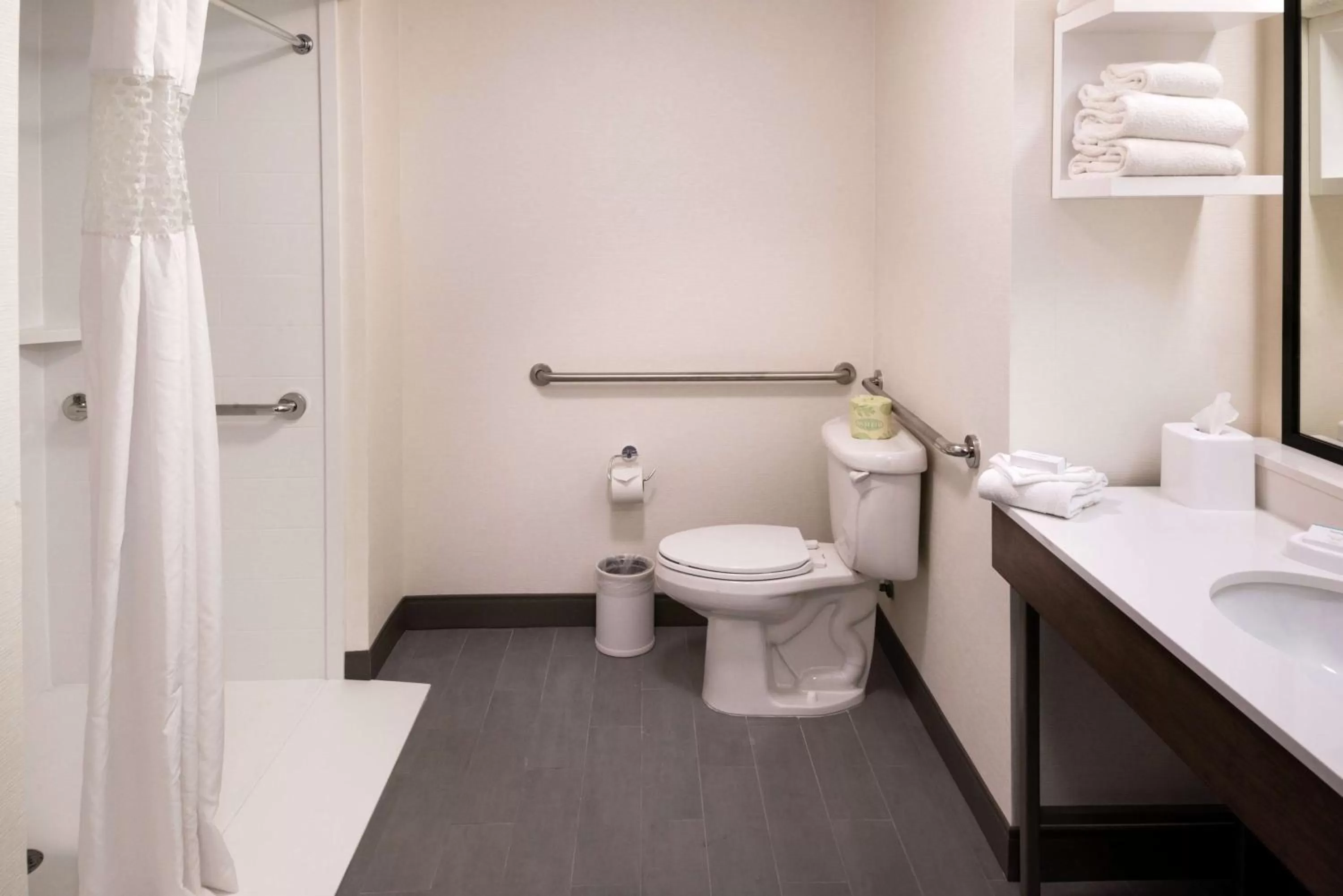 Bathroom in Hampton Inn & Suites Carson City