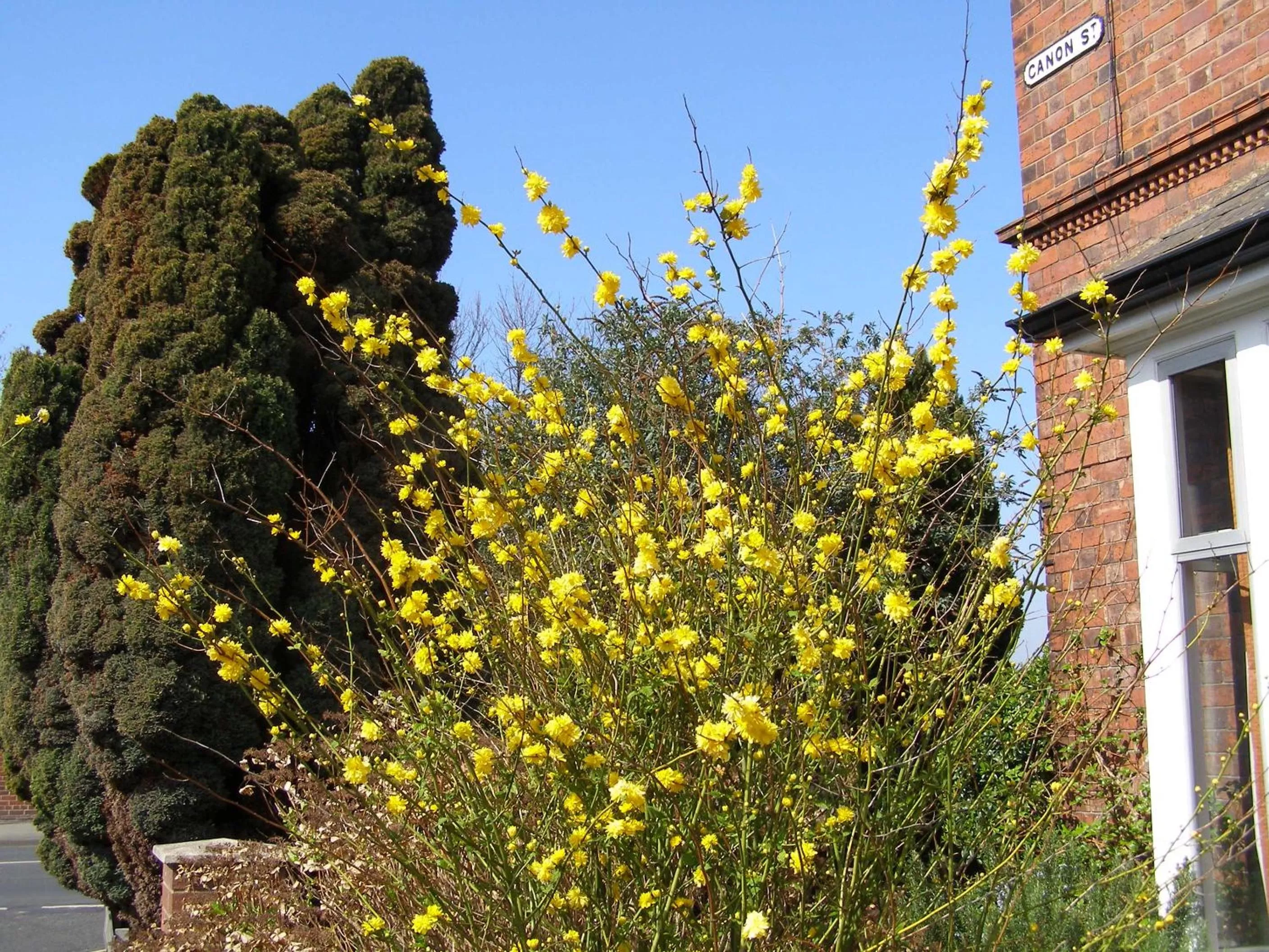 Garden in Anton Guest House Bed and Breakfast