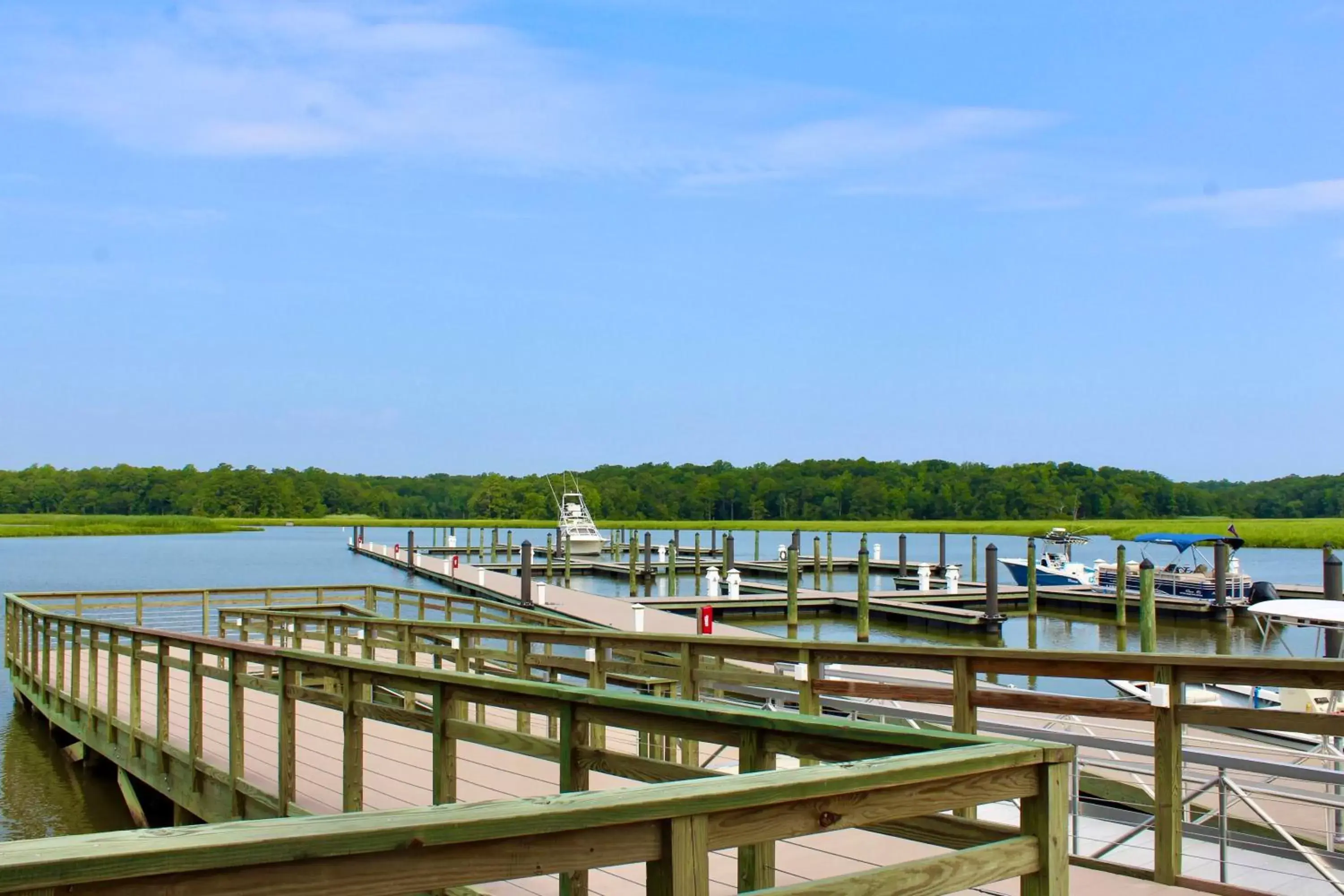 River view in Surry Seafood Company