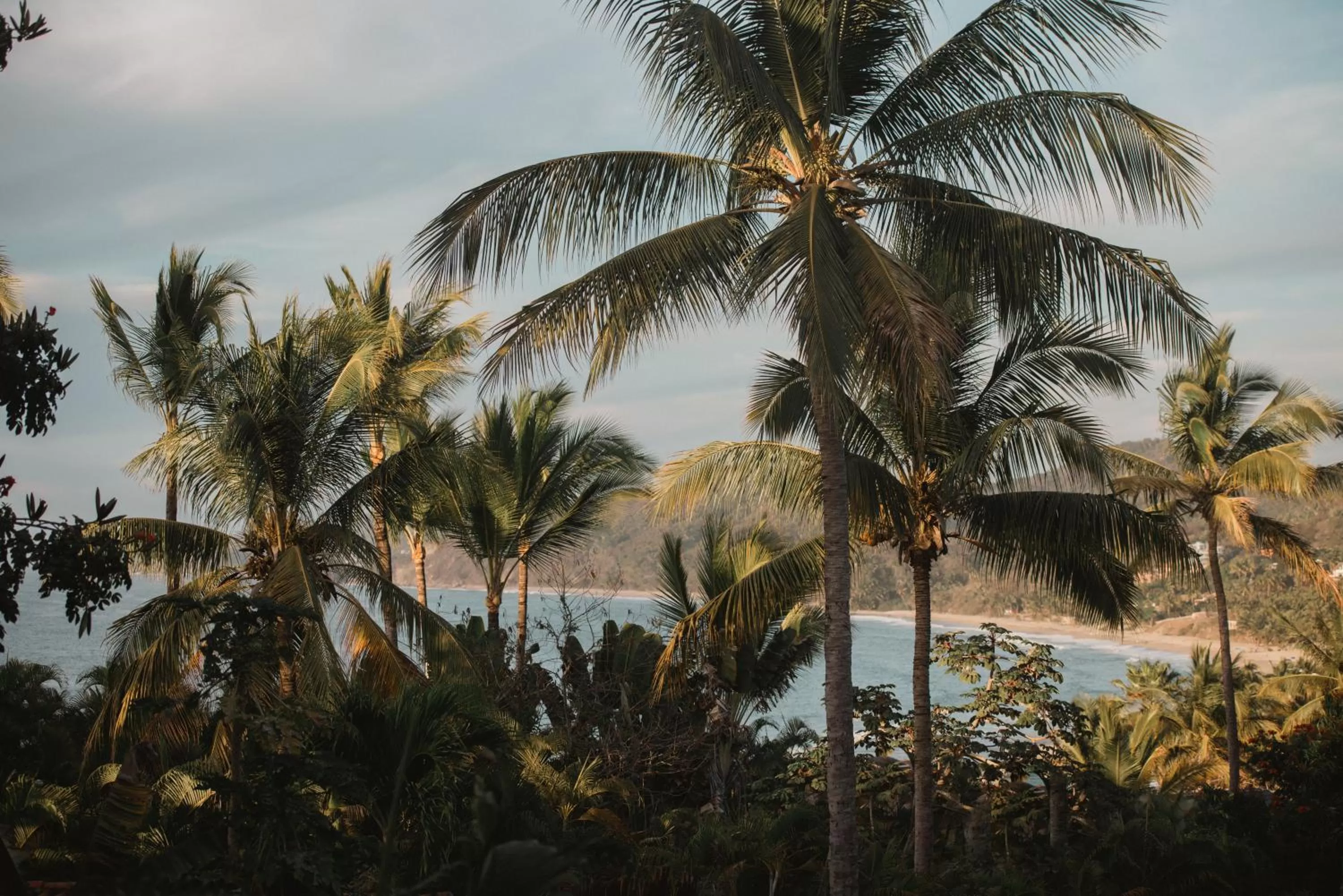 Sea view in DISTRITO 88 - Hotel Boutique Only Adults