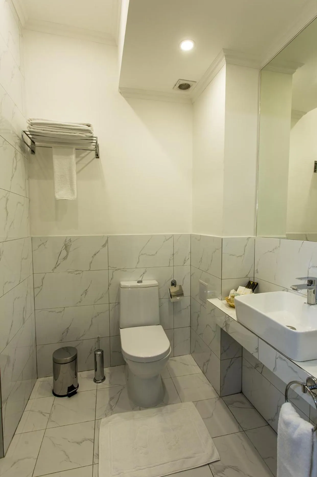 Toilet in Ambassador