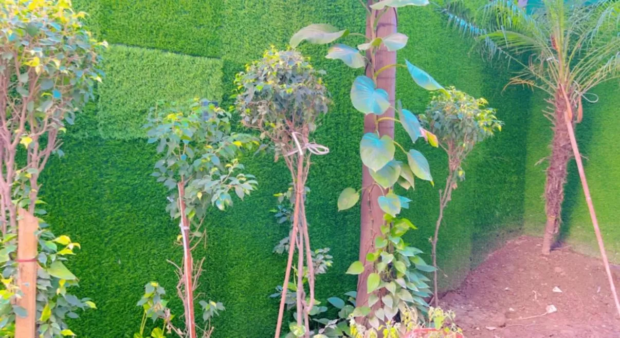 Garden, Other Animals in City View With Garden -5 Mins Walk From GOLDEN TEMPLE