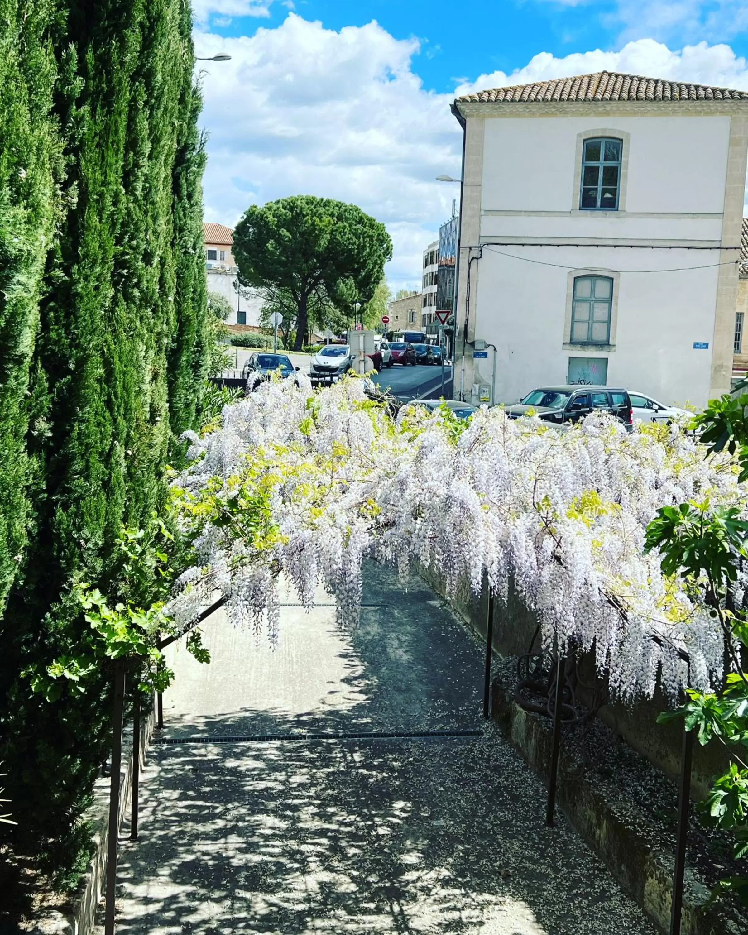 Maison Douce Arles