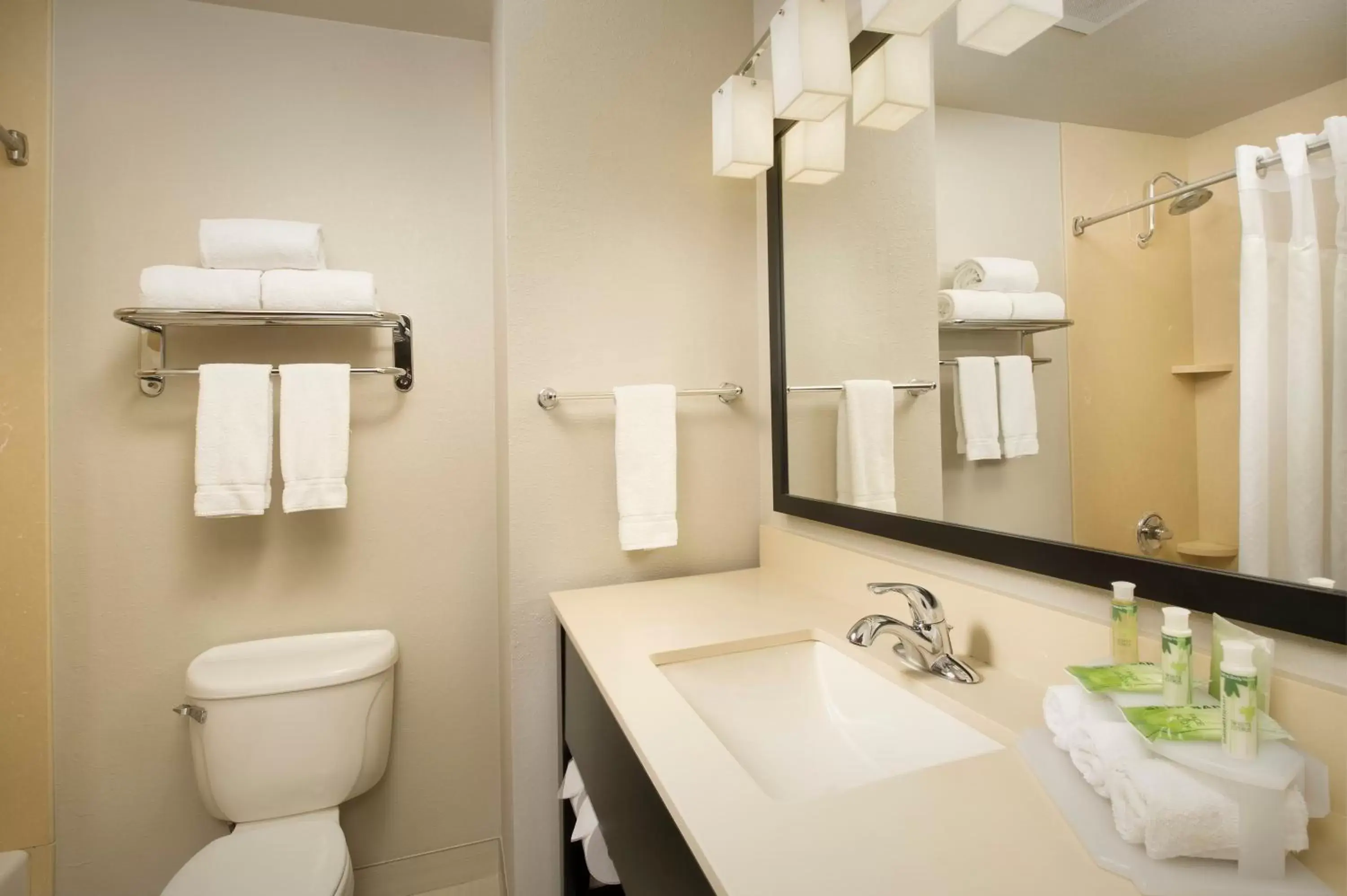 Toilet, Bathroom in Holiday Inn Express & Suites DFW Airport - Grapevine, an IHG Hotel