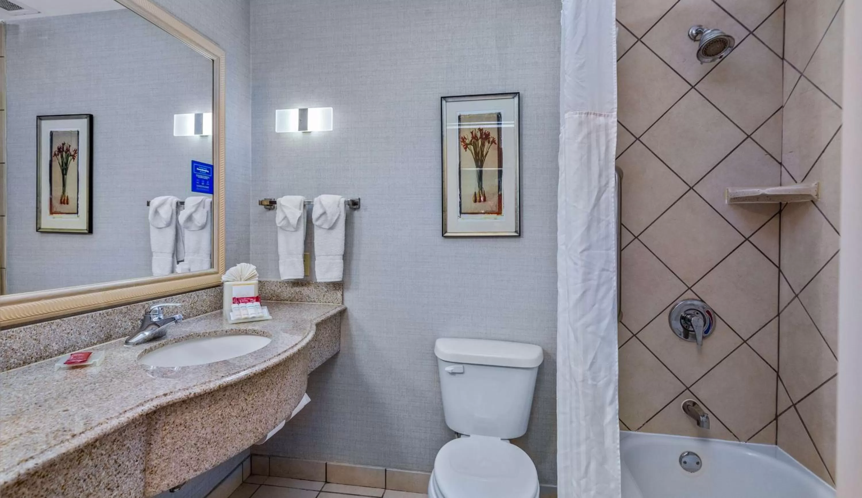 Bathroom in Hilton Garden Inn Starkville