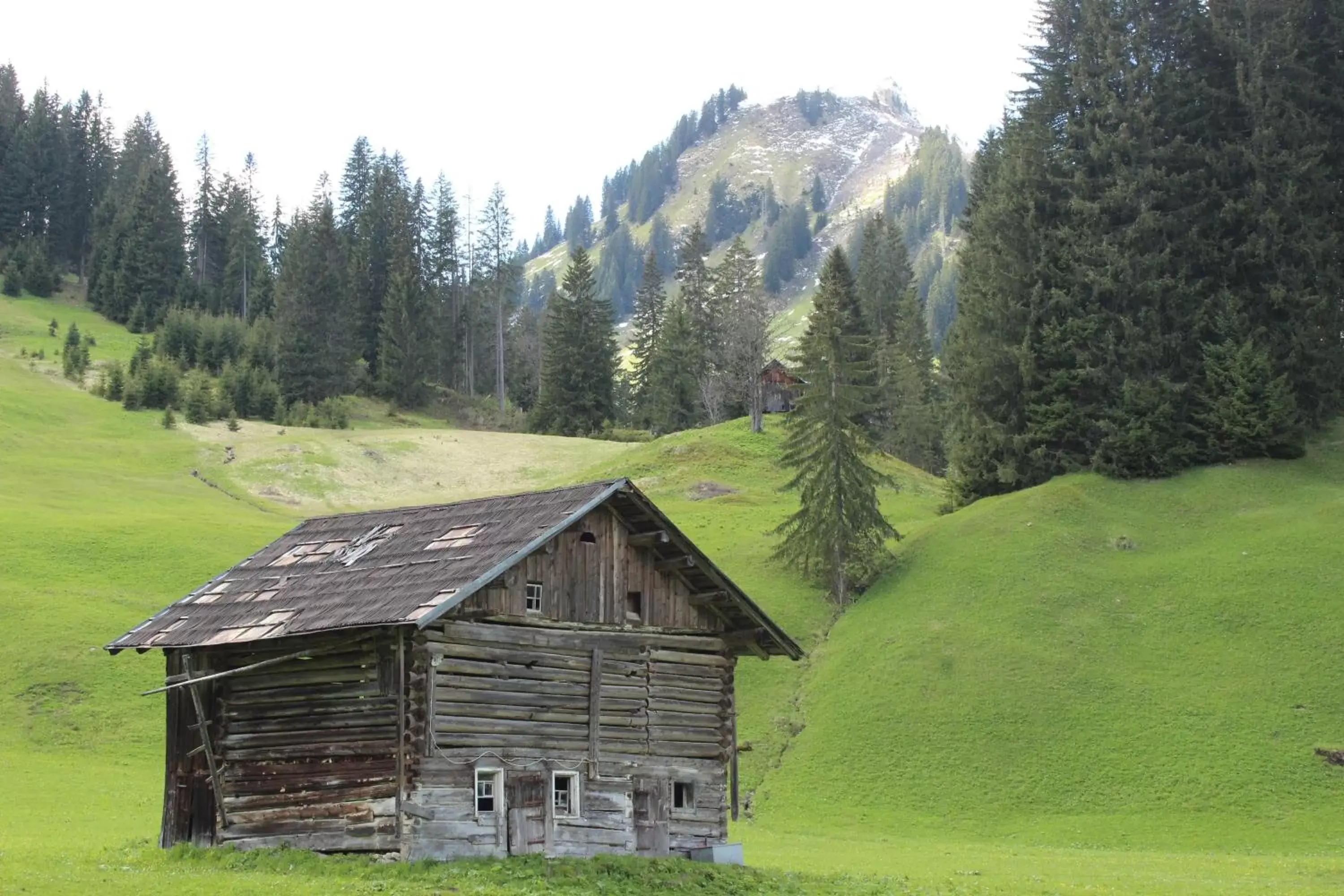 Area and facilities, Property Building in Alpenhotel Widderstein