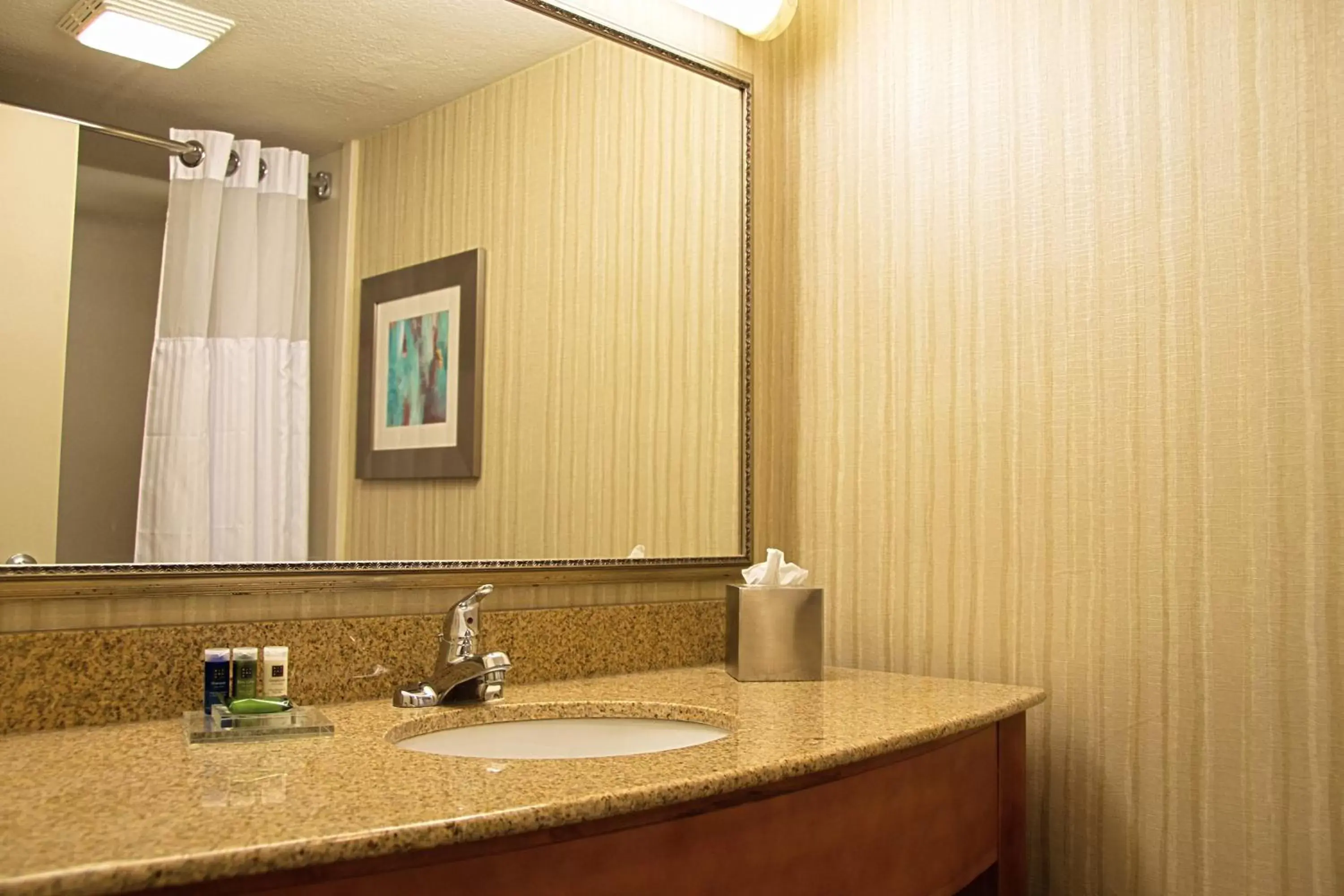 Other, Bathroom in Radisson Hotel & Conference Center Coralville - Iowa City