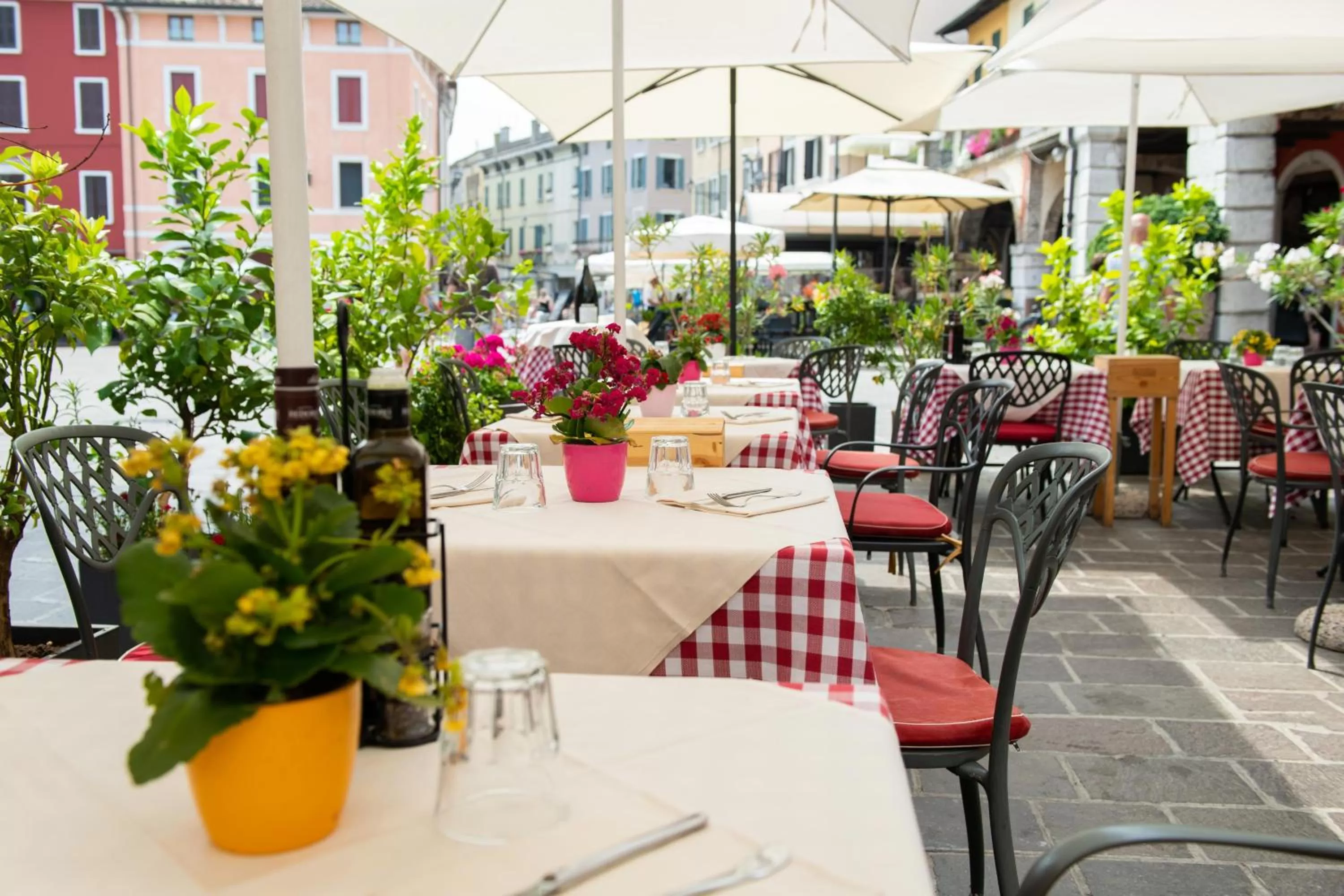 Restaurant/places to eat in Alessi Hotel Trattoria