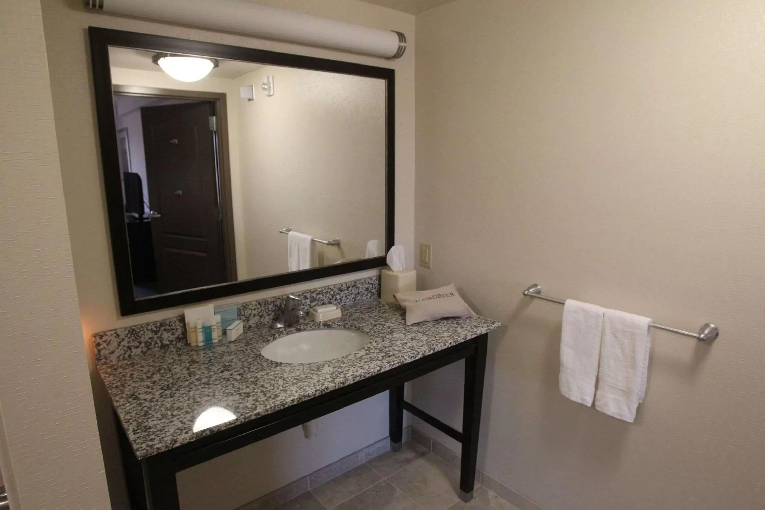 Bathroom in Hampton Inn & Suites Seneca-Clemson Area