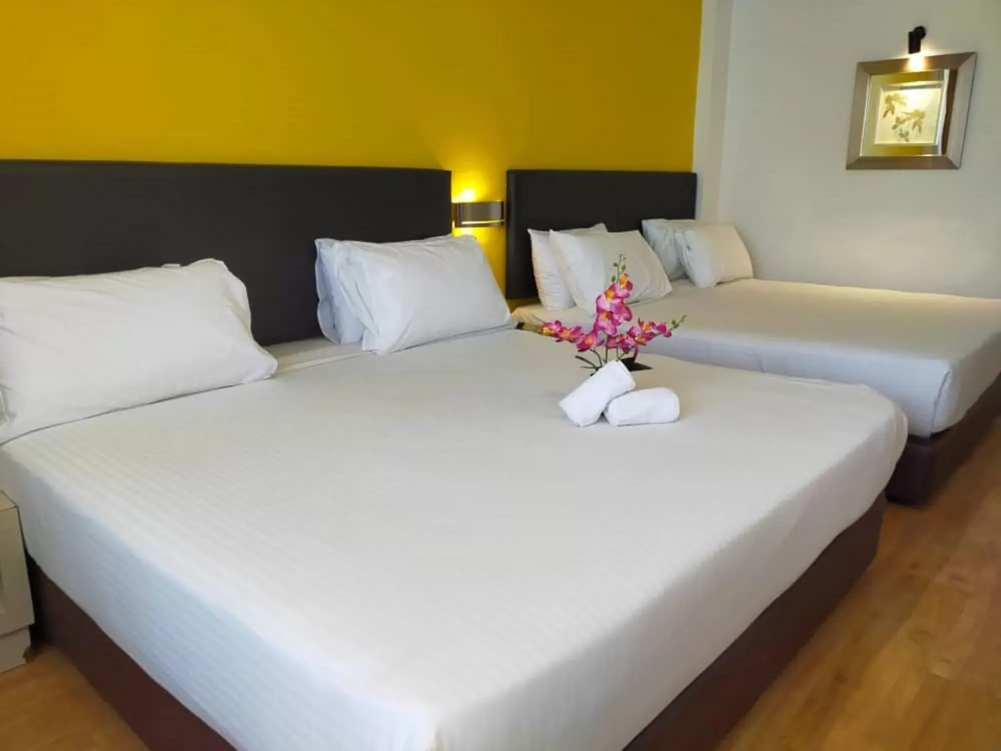 Bed in Hotel Sentral Georgetown @ City Centre