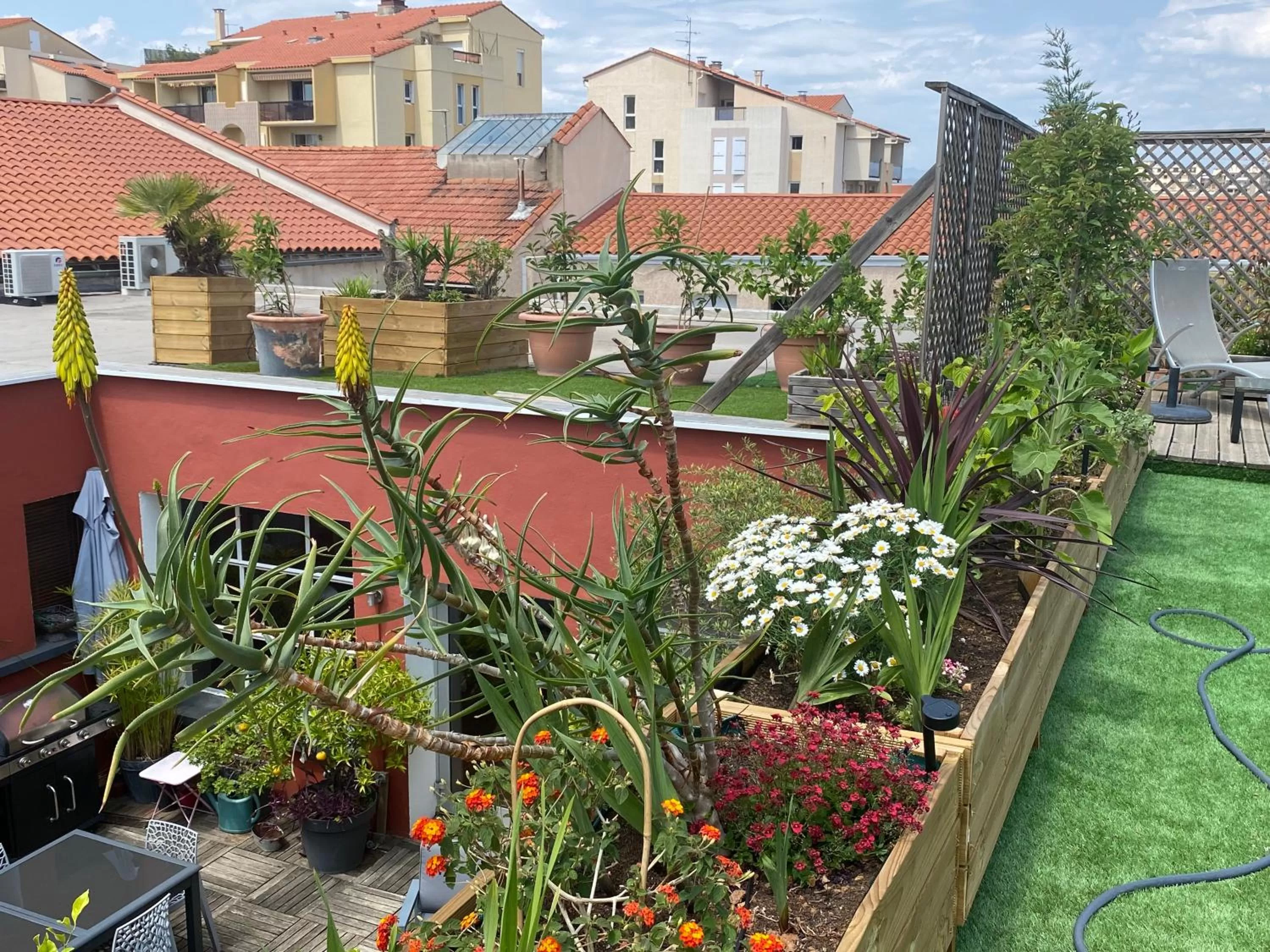 City view in Le Patio Père Pigne Guestroom