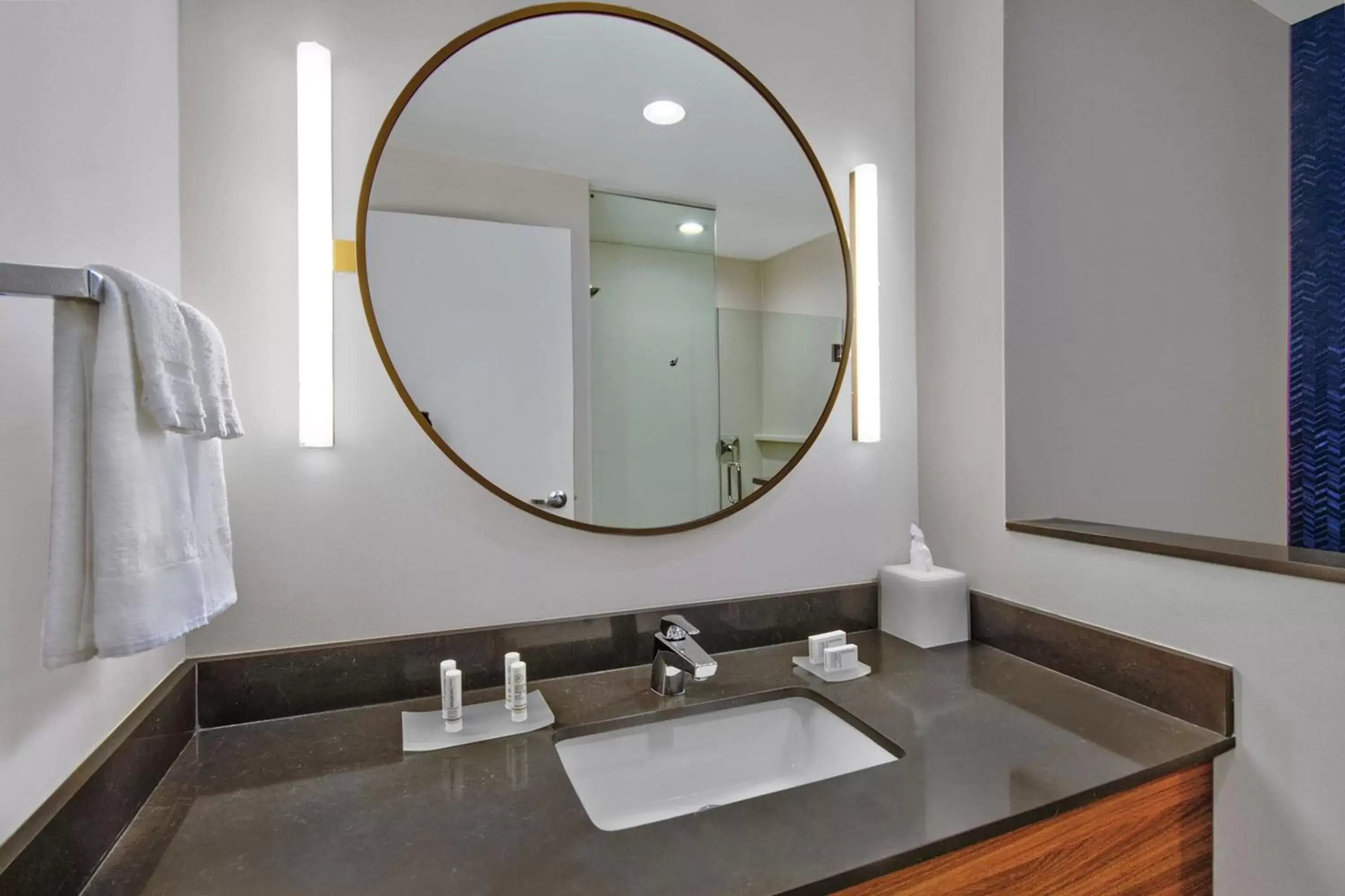 Bathroom in Fairfield by Marriott Inn & Suites Orlando at FLAMINGO CROSSINGS® Town Center