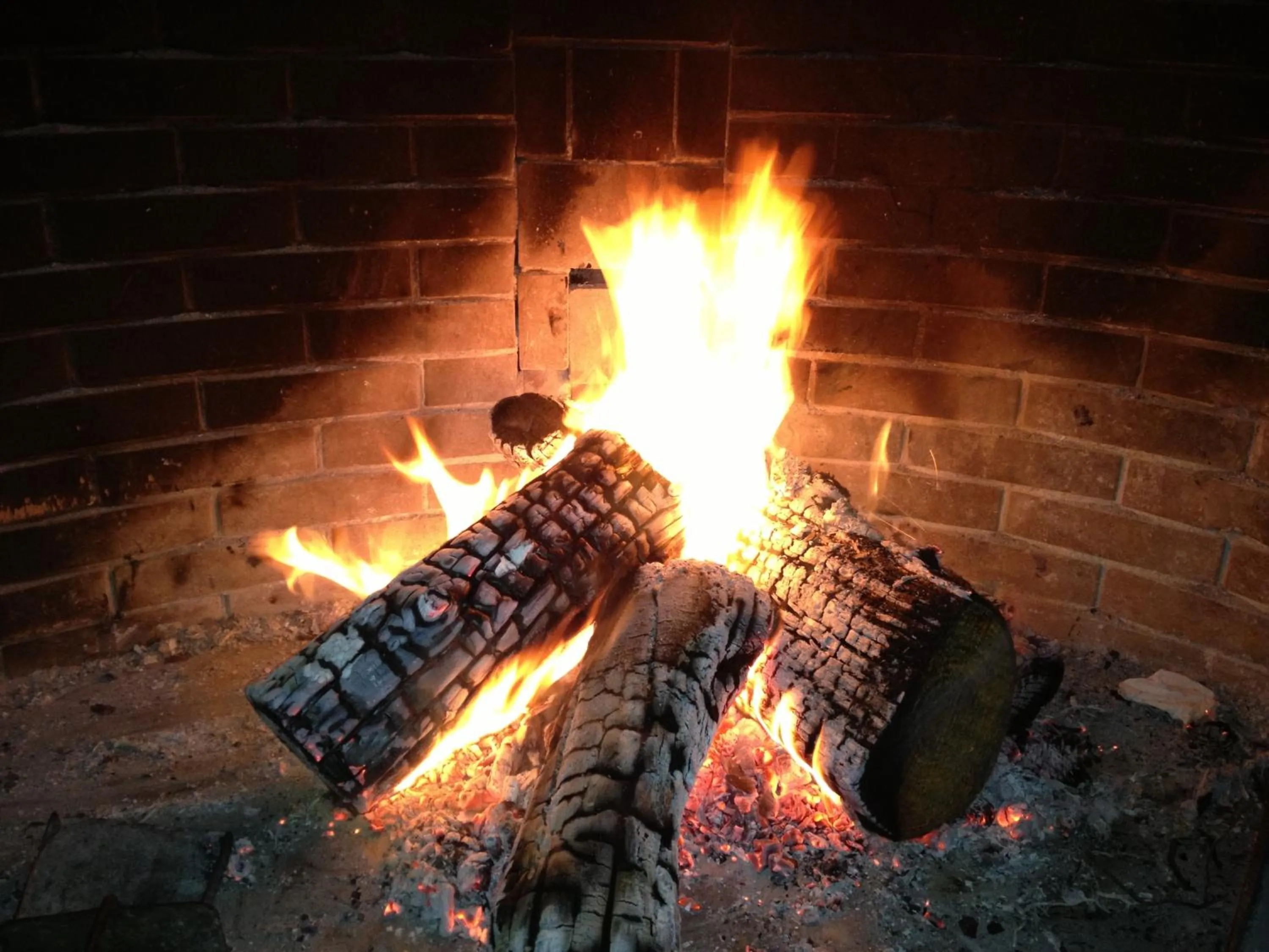 Restaurant/places to eat in Hotel Murgia