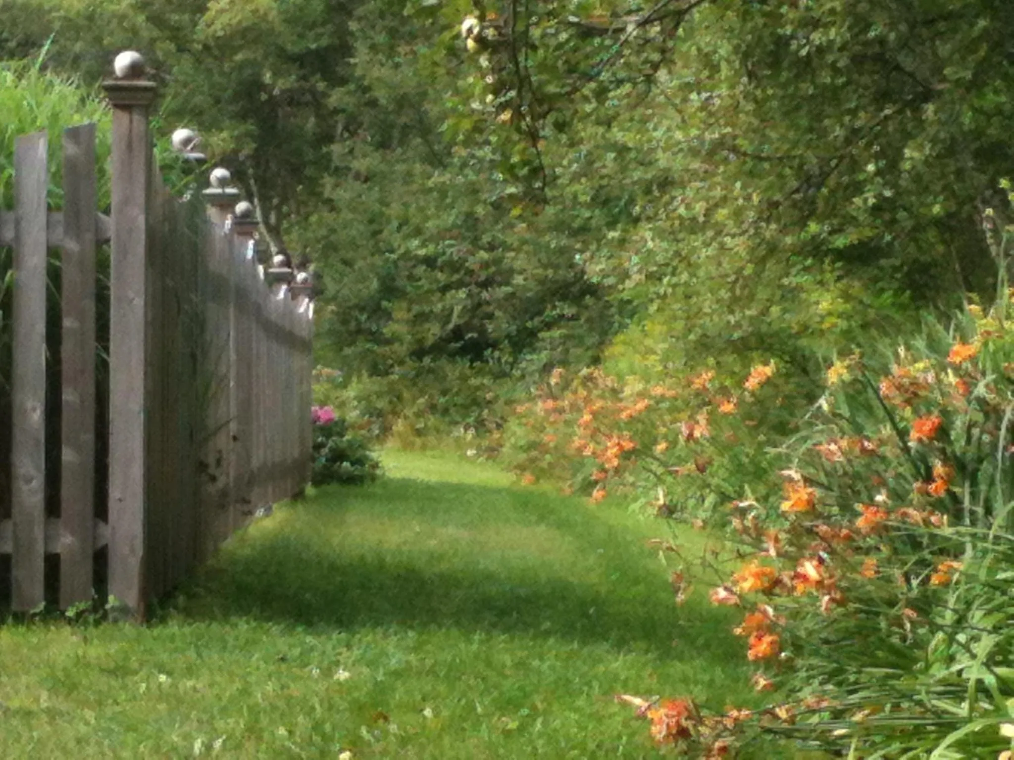 Garden in Deerhill Inn