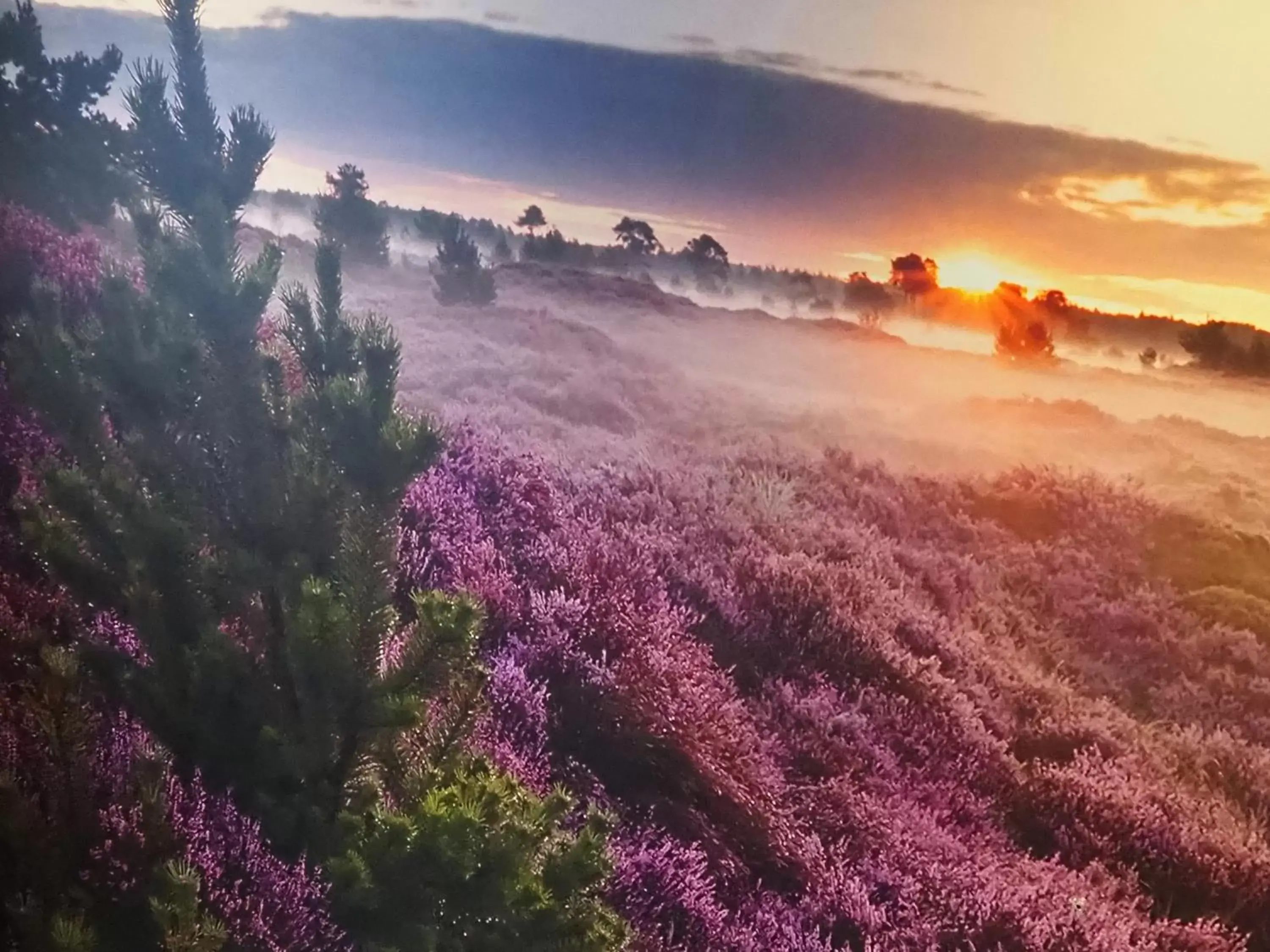 Natural landscape in Hotel Restaurant Talens Coevorden