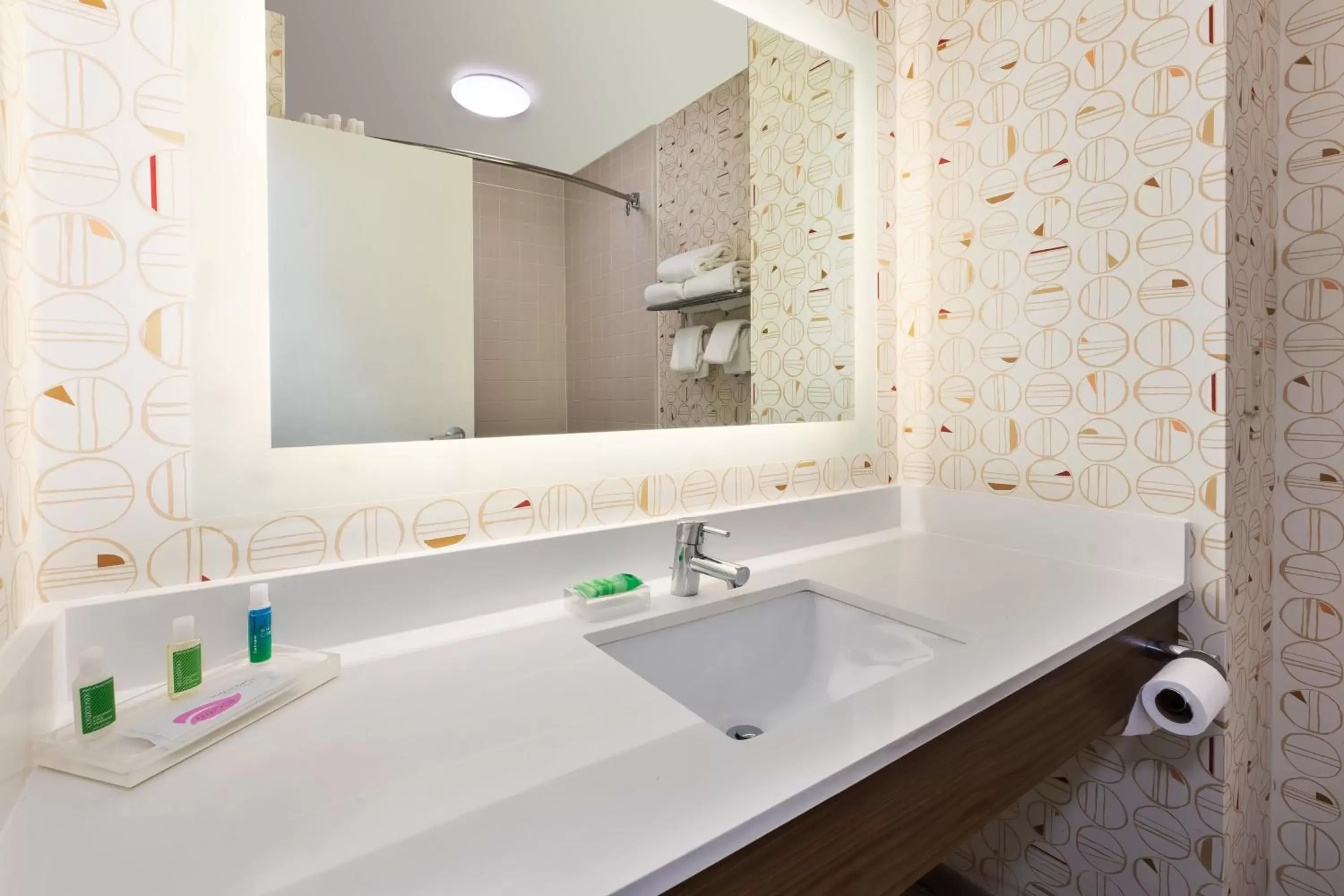 Bathroom in Holiday Inn Grand Rapids - South, an IHG Hotel