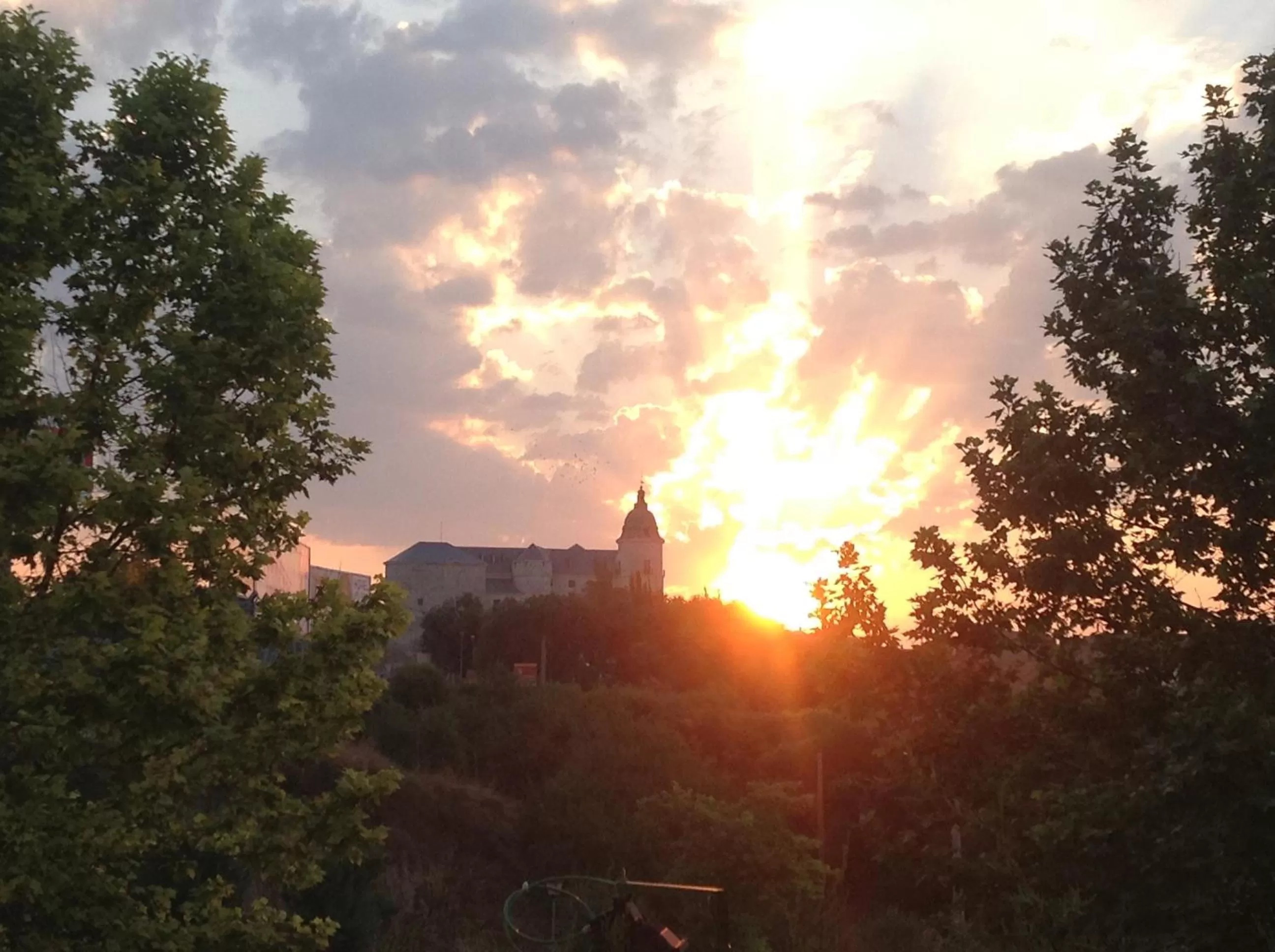 View (from property/room) in Hotel Pago del Olivo