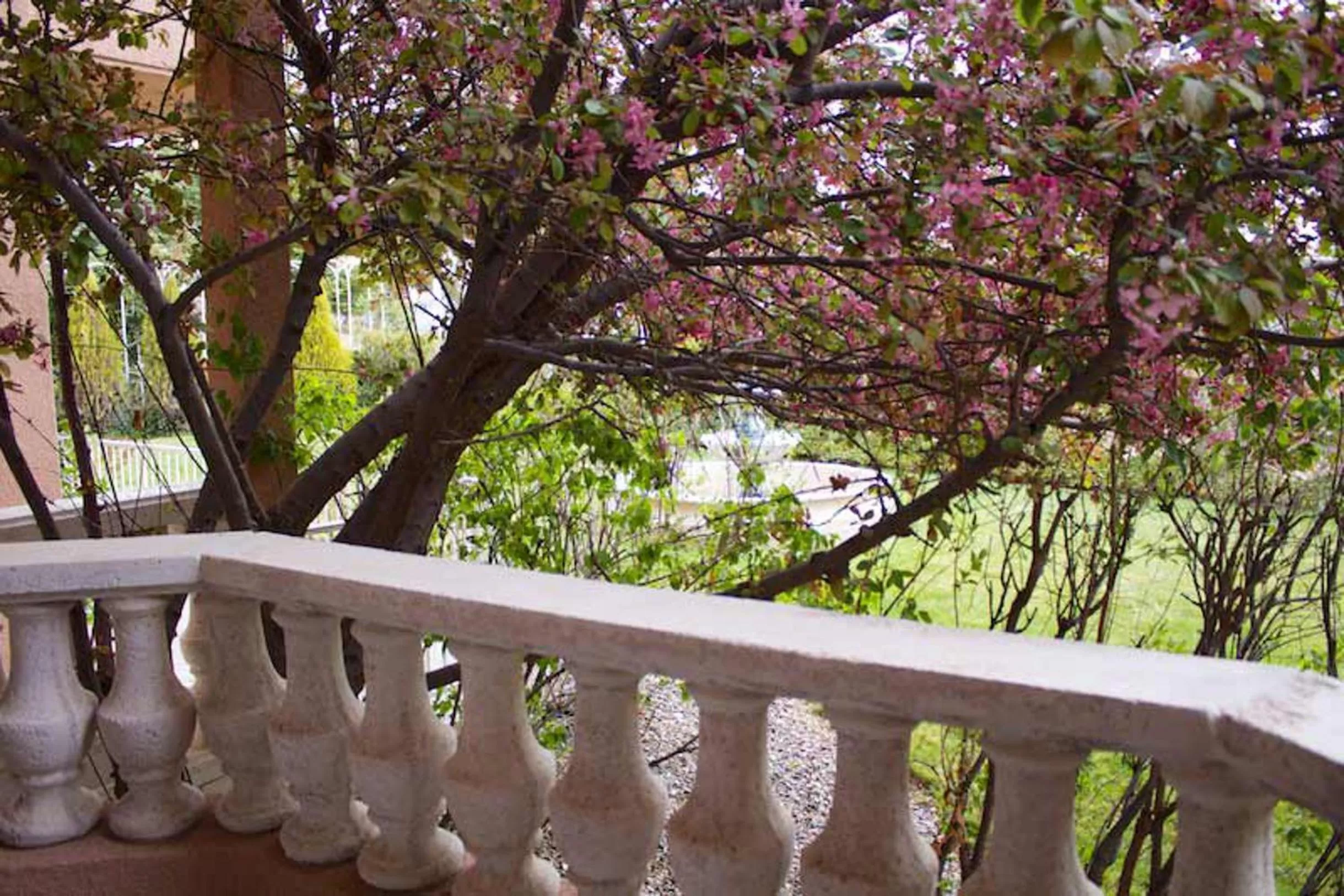 Balcony/Terrace in Forest Villas Hotel