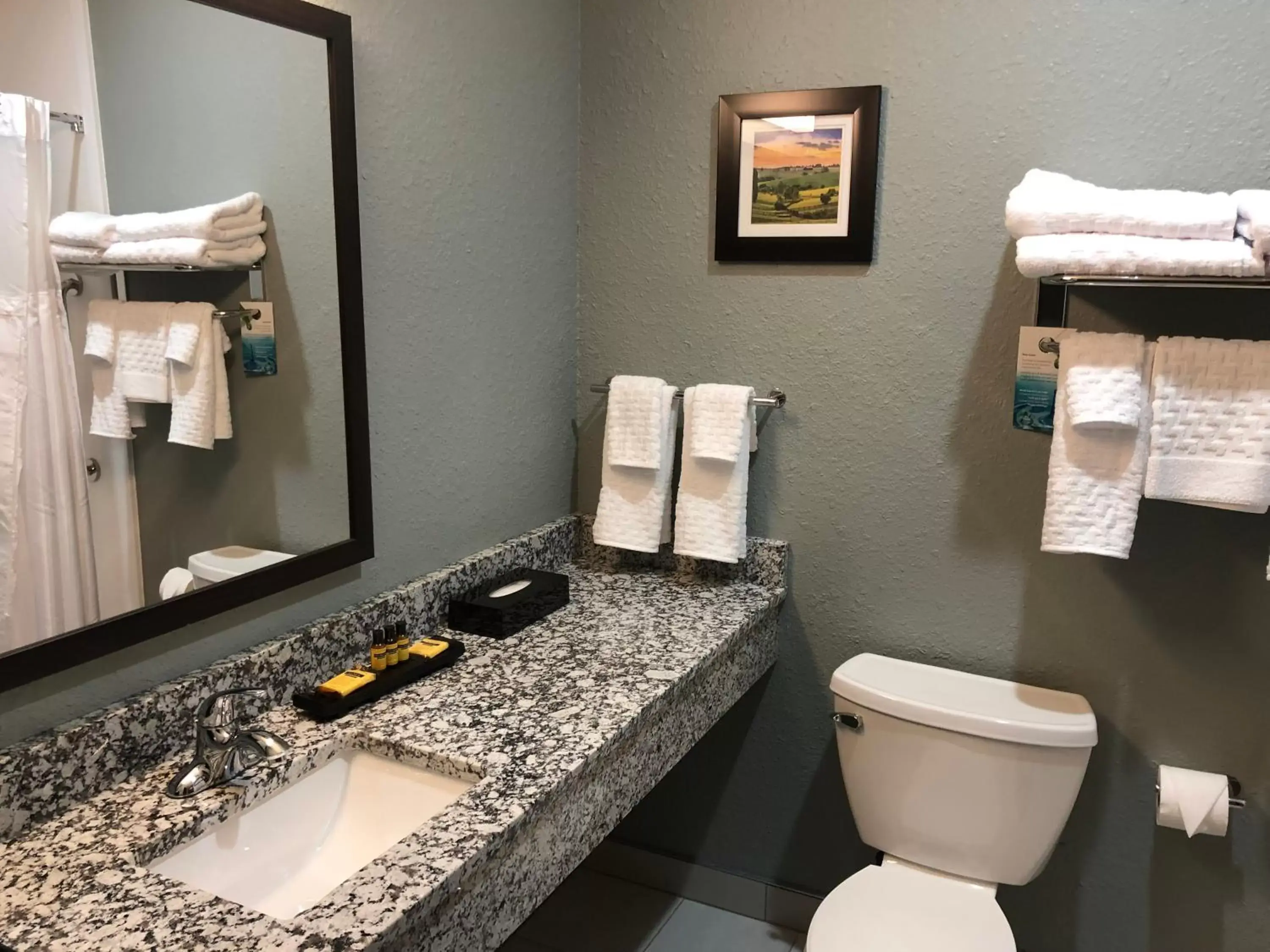Bathroom in Best Western Plus Owensboro