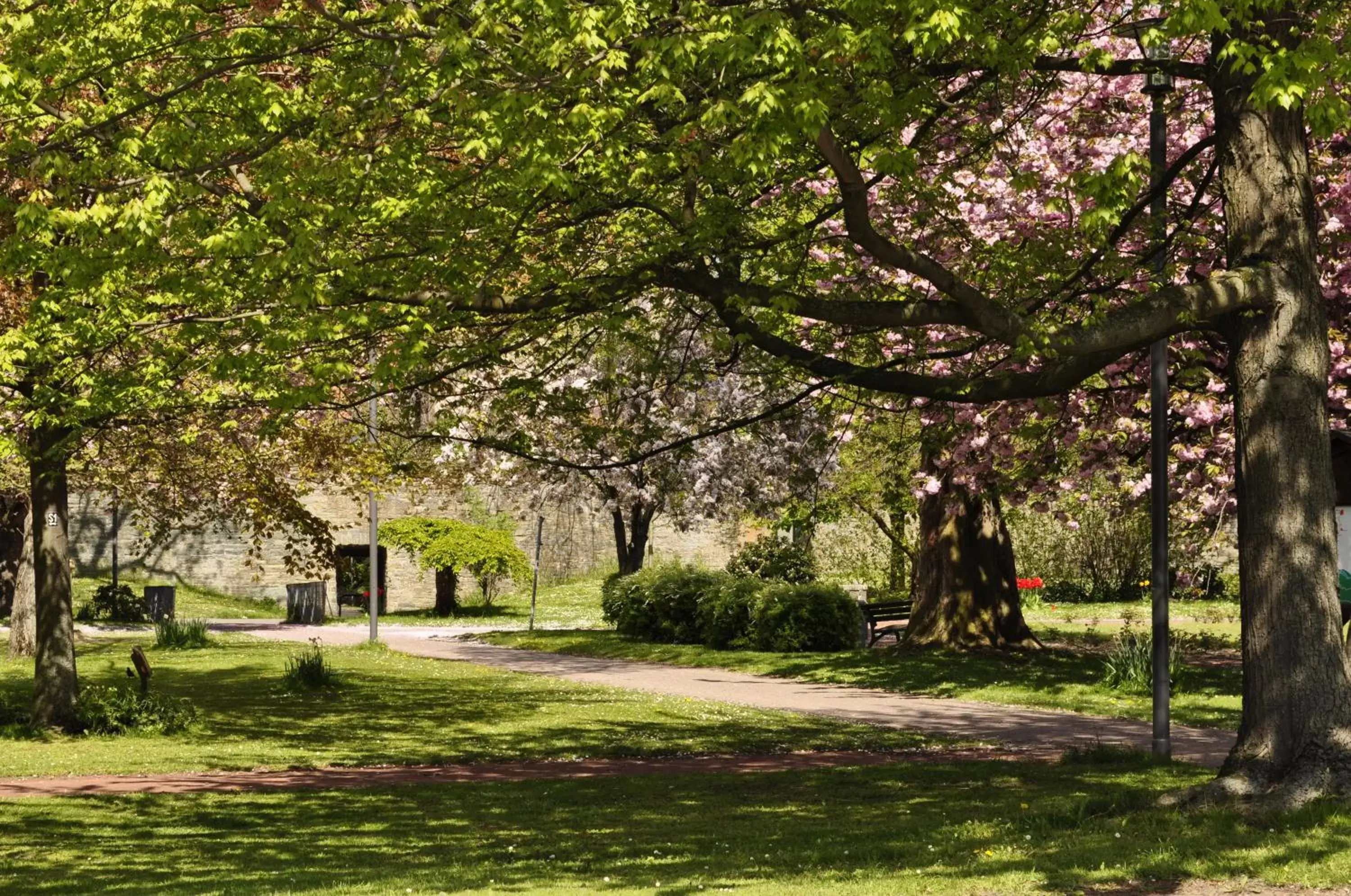 Garden view, Garden in Hotel am Wall