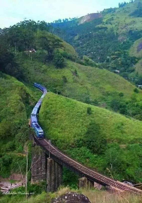 Ella Lucky Panoramic