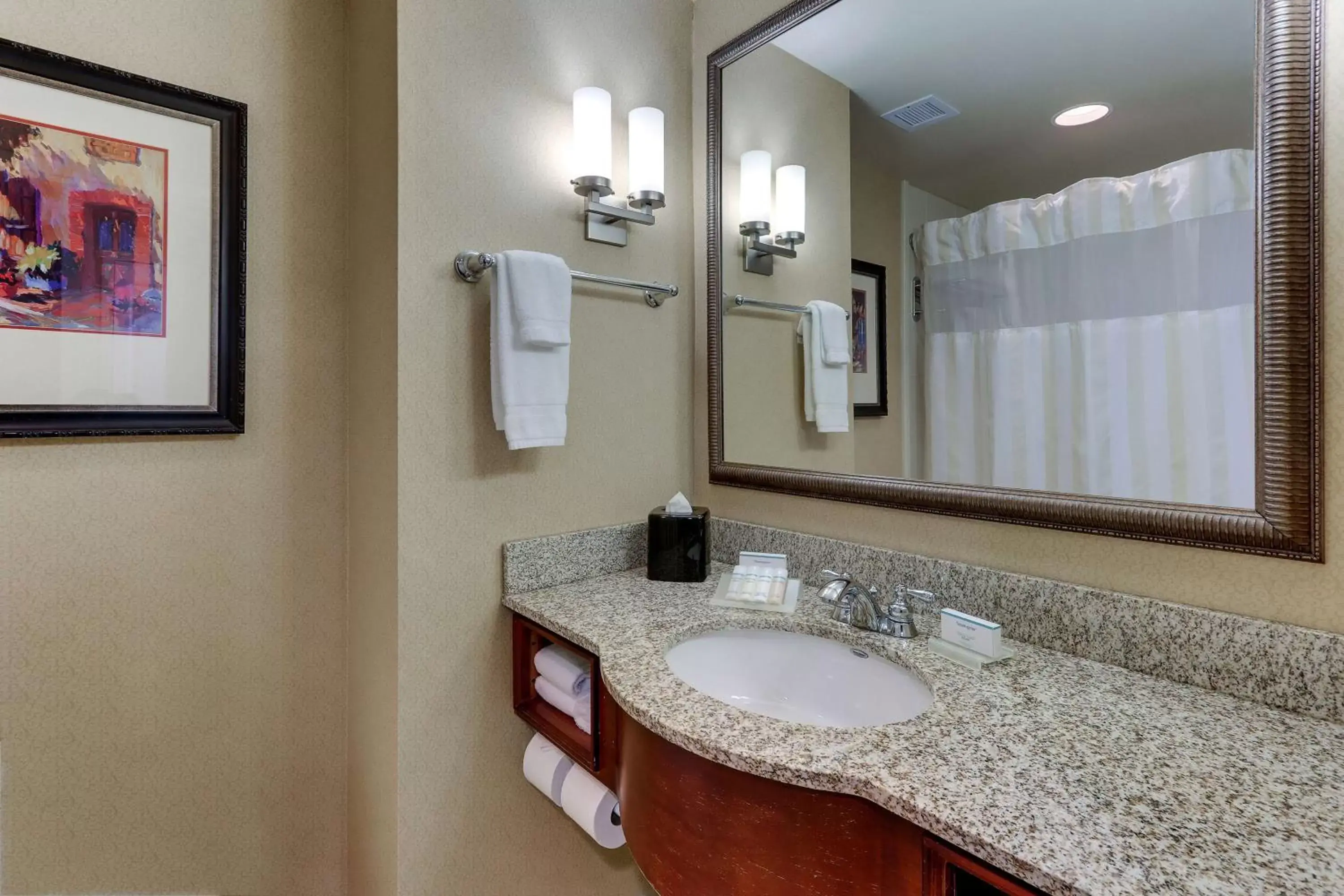 Bathroom in Hilton Garden Inn Indianapolis Airport