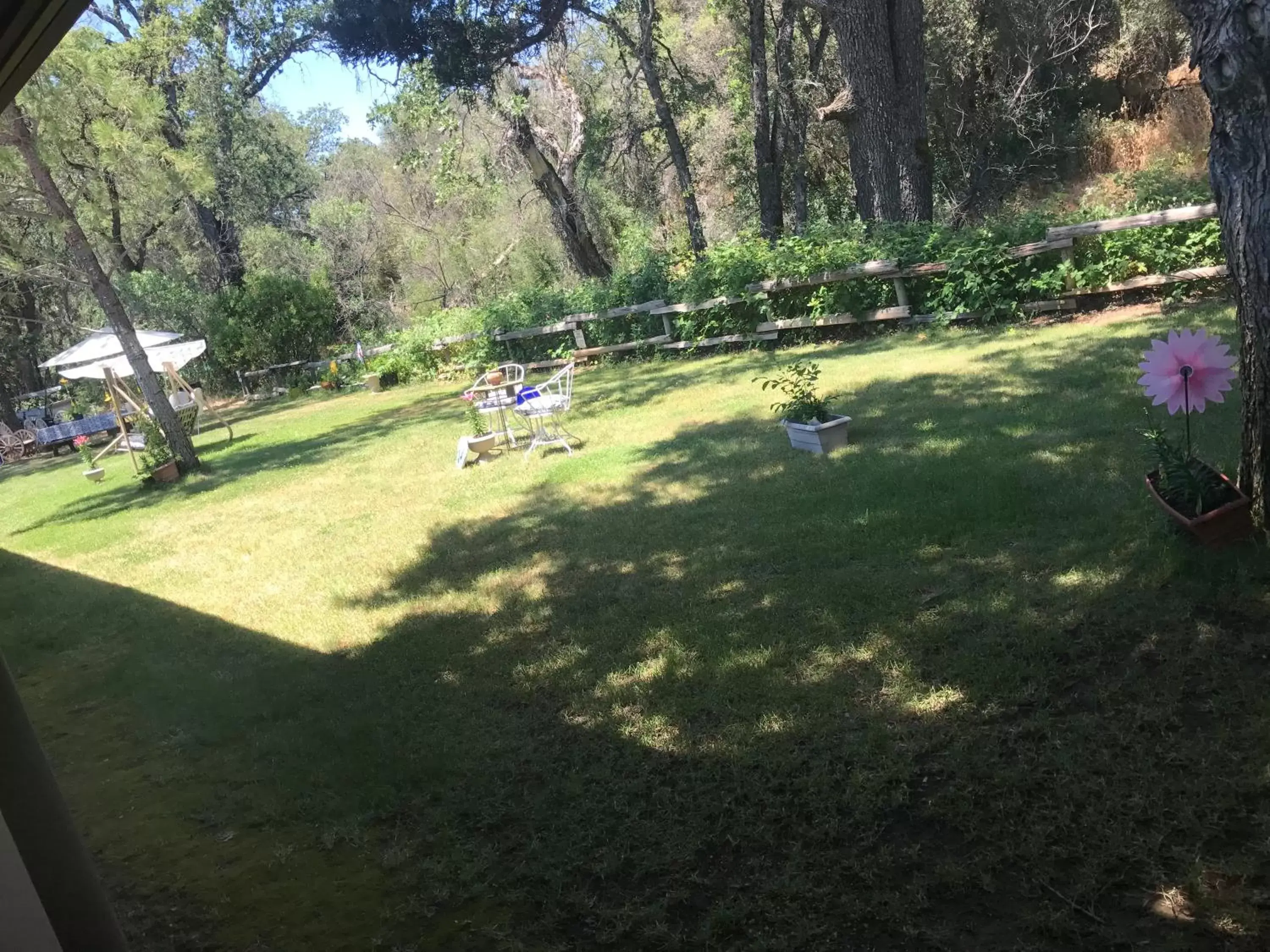 Garden in Creekside Lodge