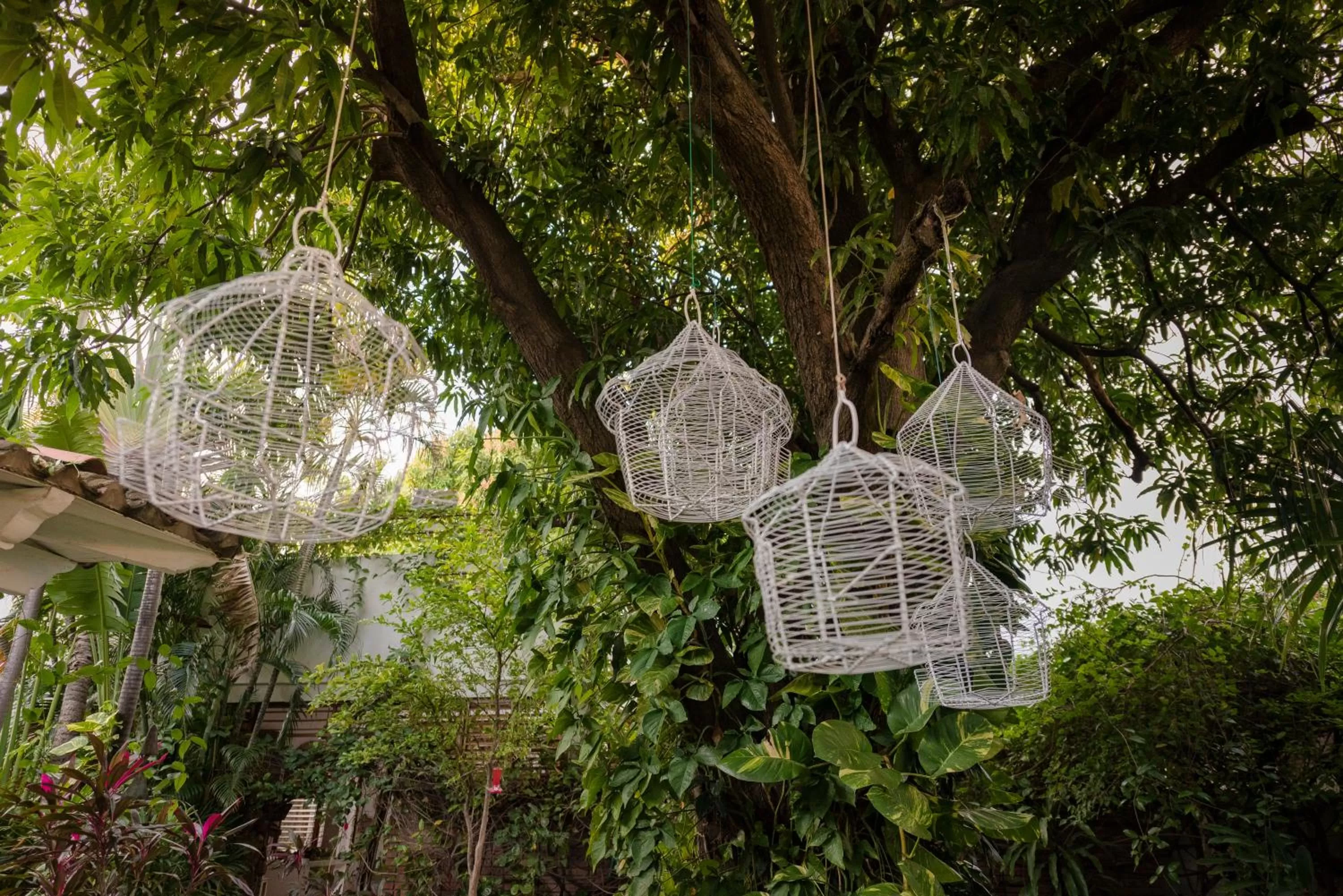 Garden in Hotel Boutique Casa Rosalía