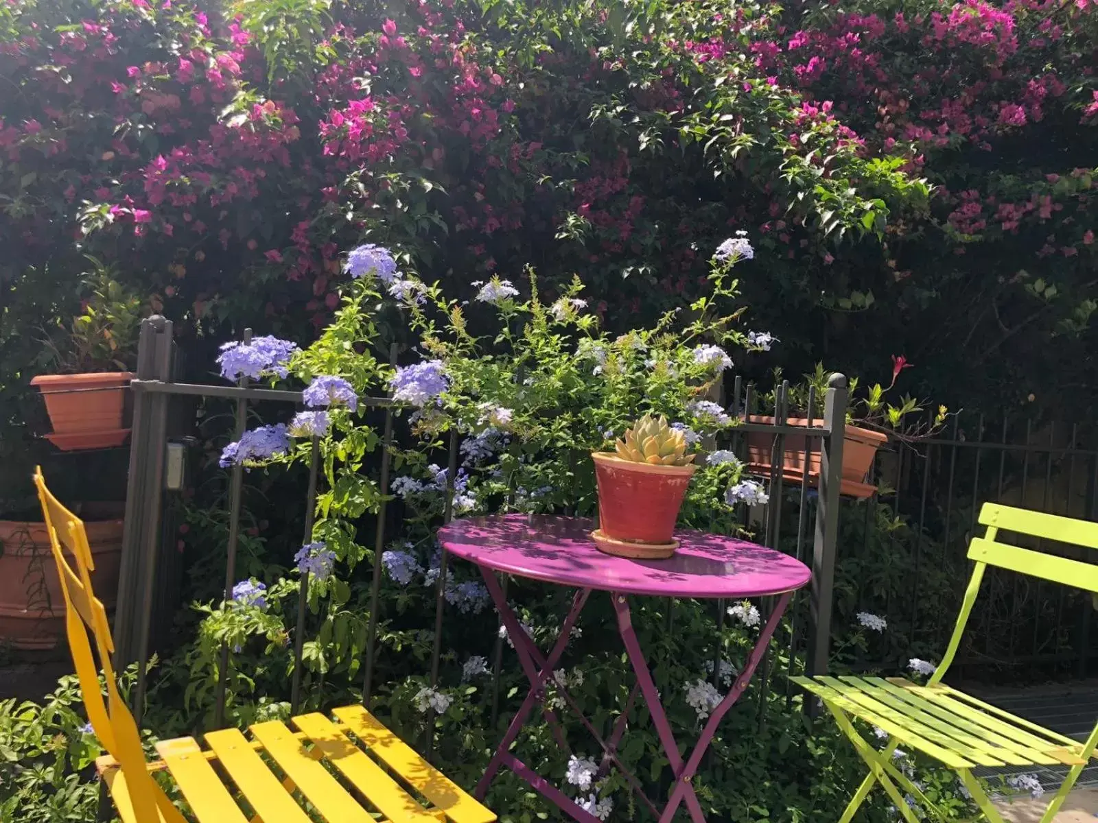 Garden in Oasi Hotel