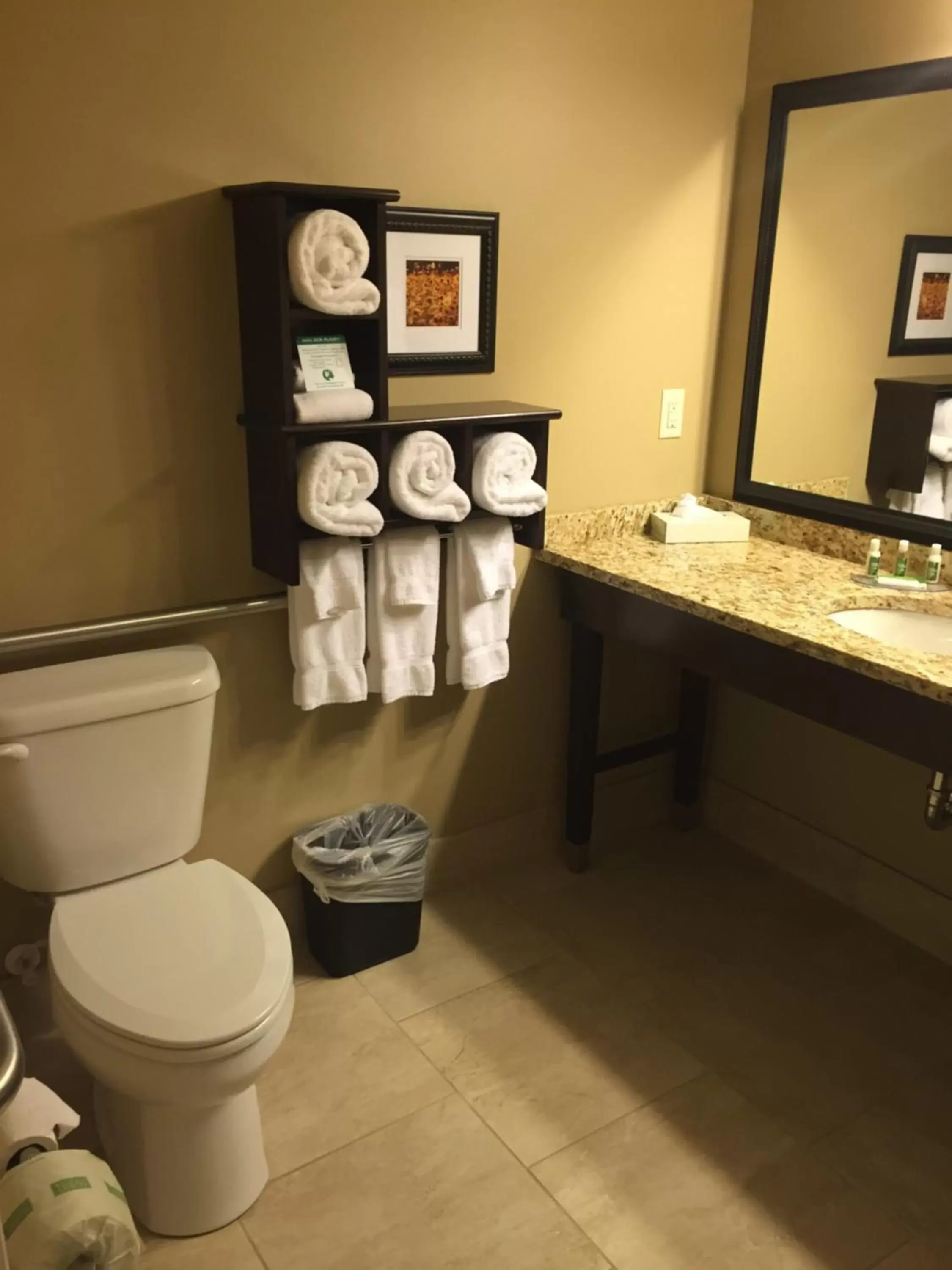 Bathroom in Grandstay Hotel & Suites Mount Horeb - Madison