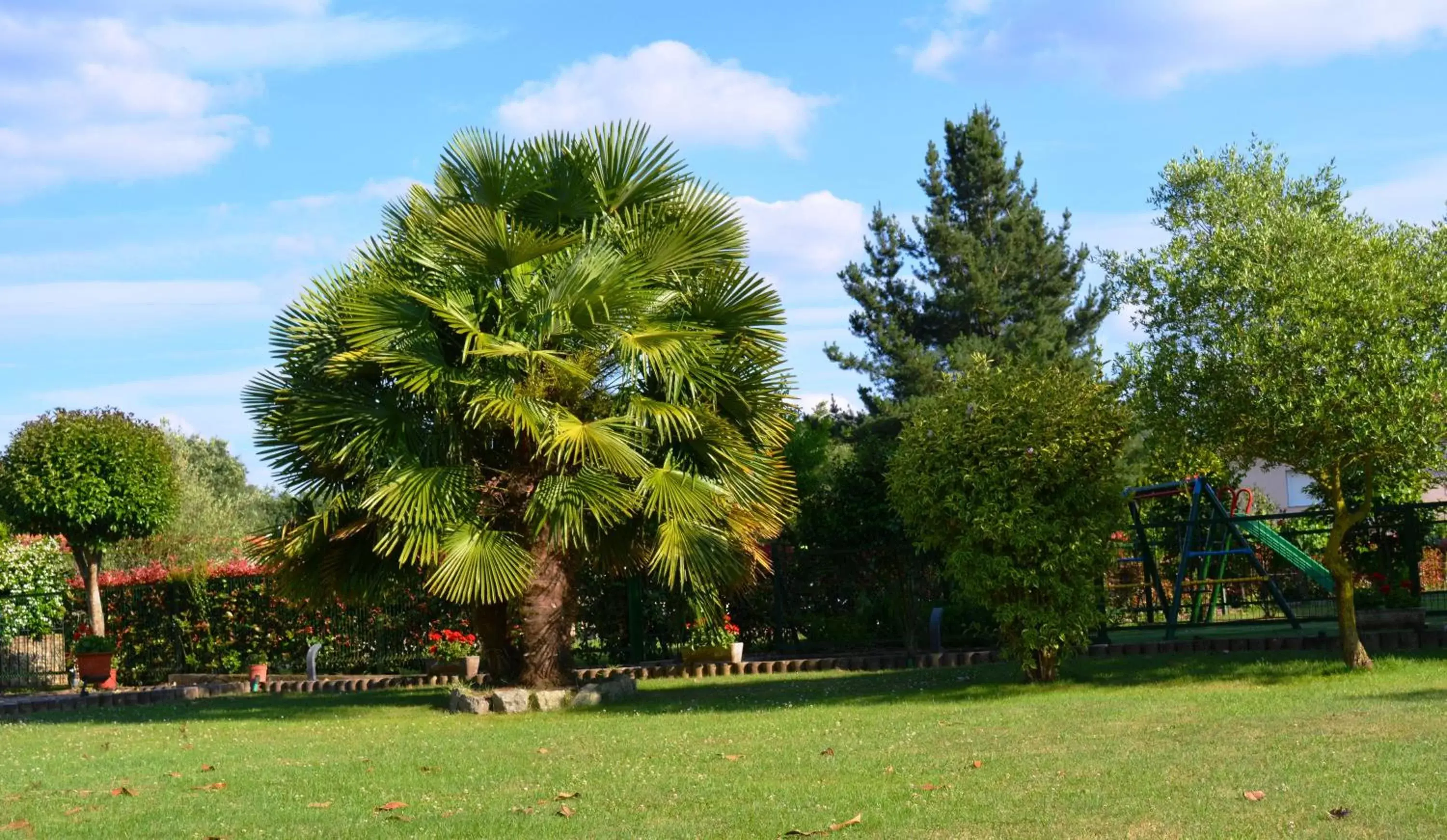 Garden in Hotel Casa Reboiro