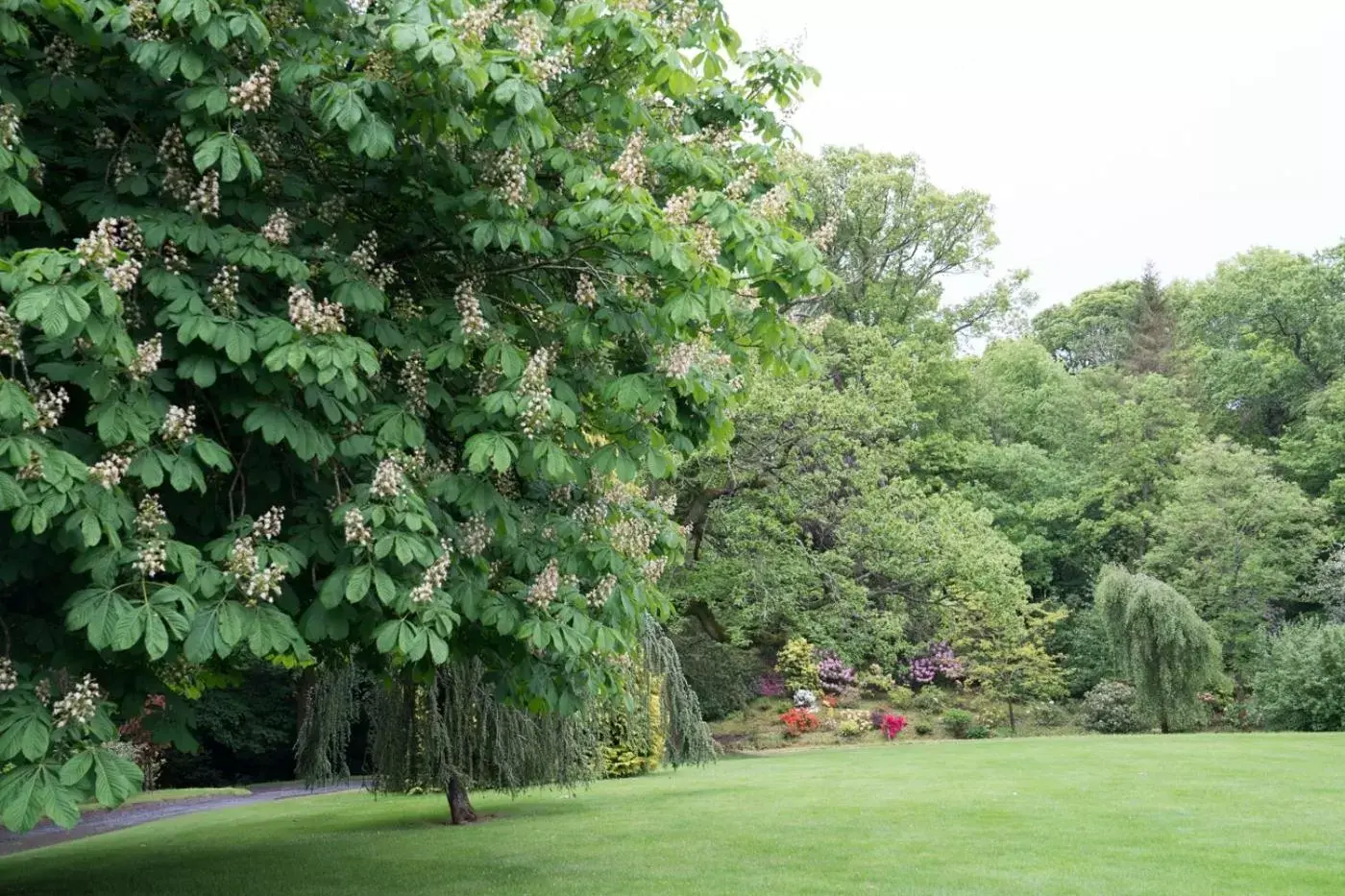 Garden in West Plean House