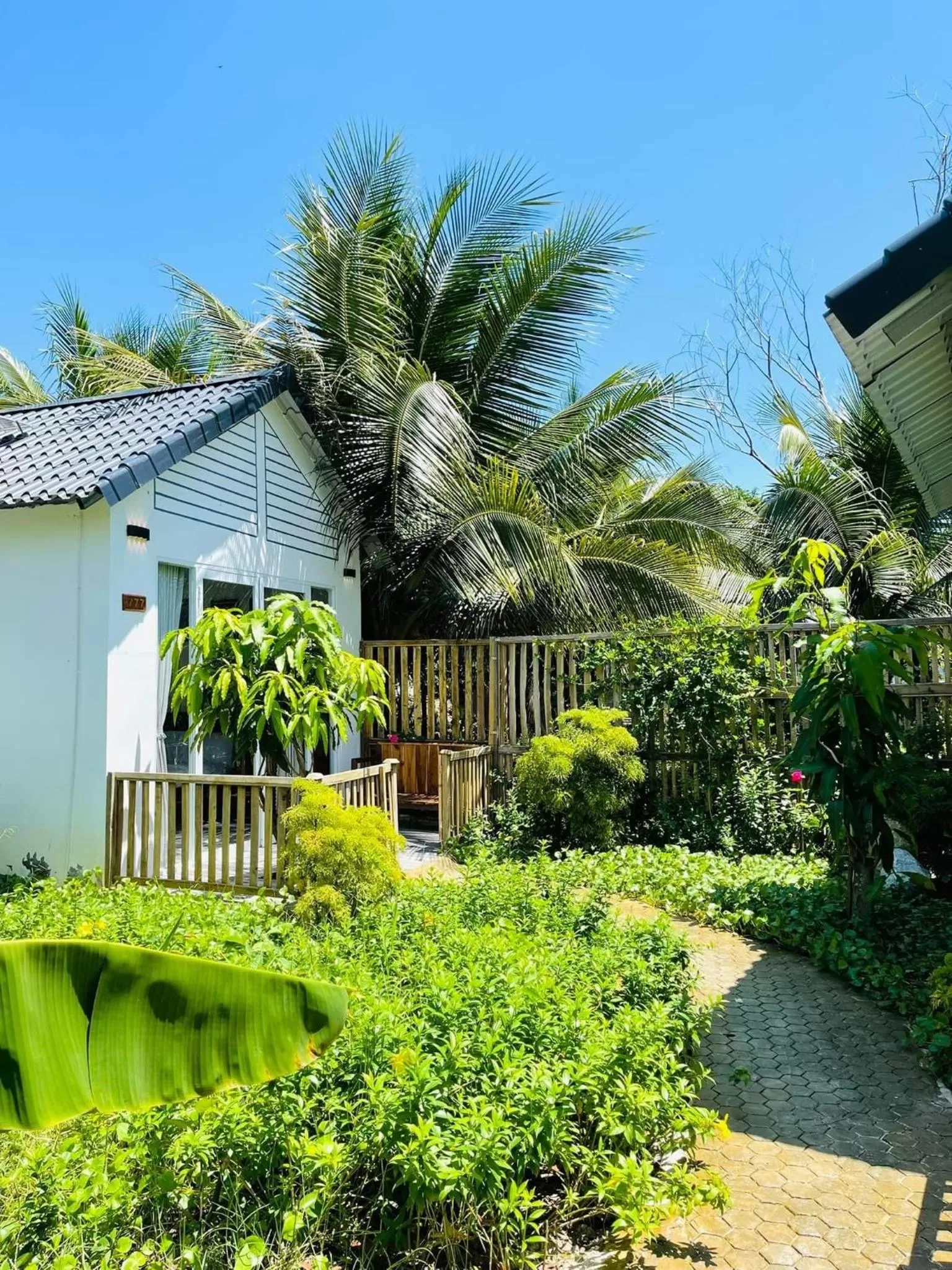 Property building in Hoang Phuc resort