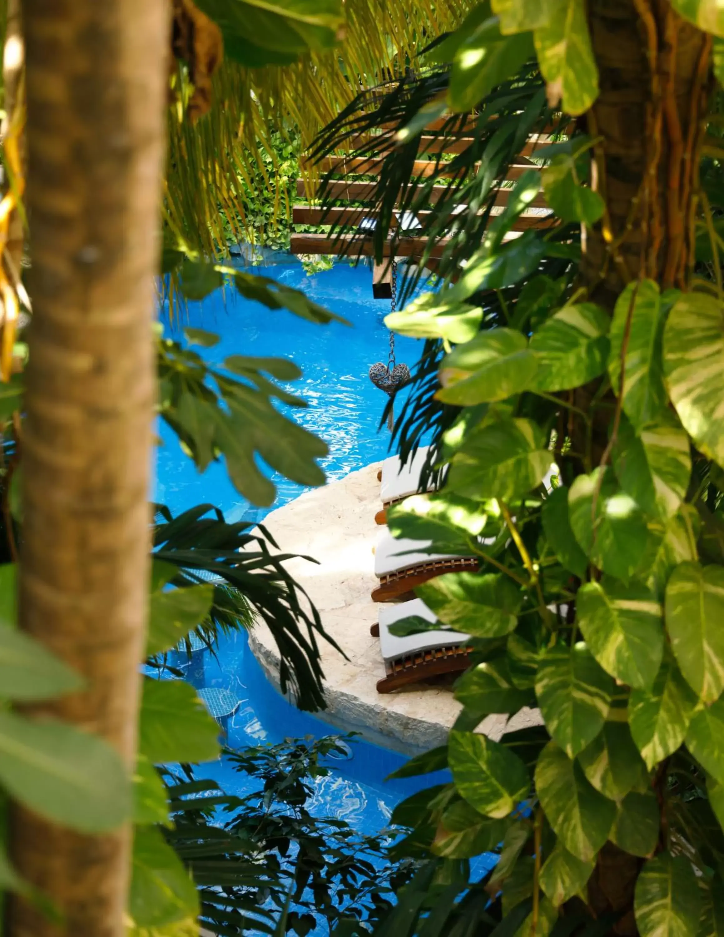 Garden view in Hotel Hulku Garden view in Hotel Hulku