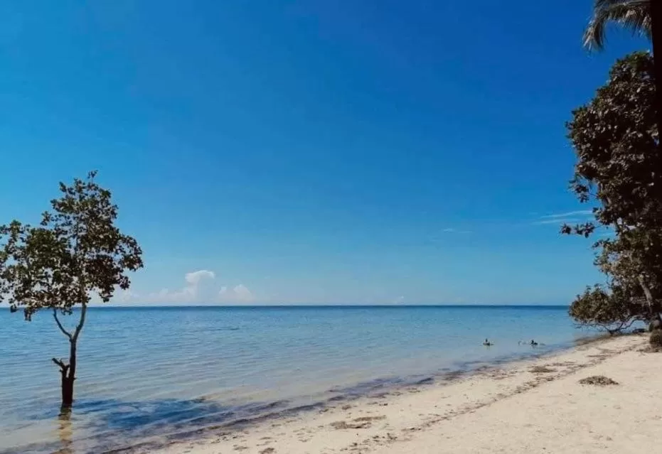 Beach in Summer Days