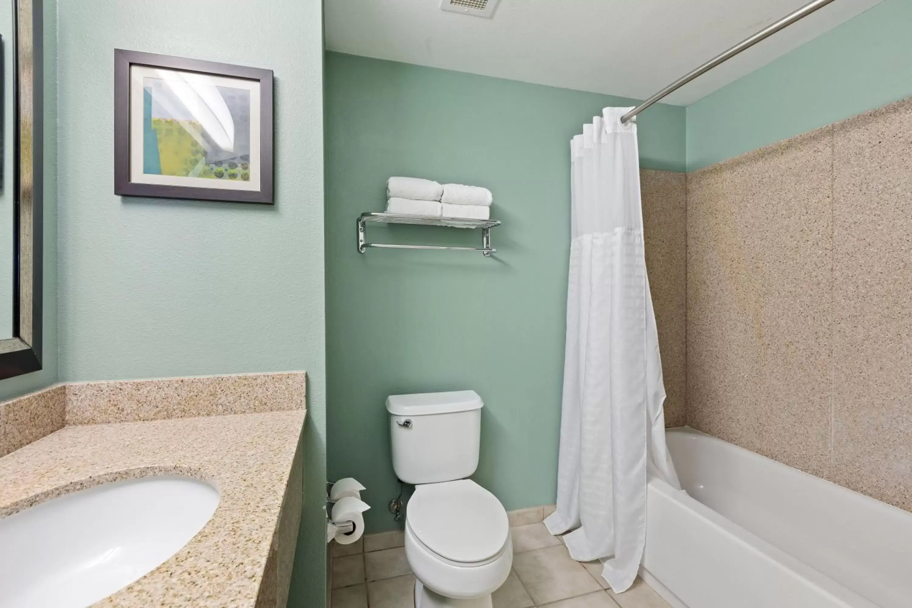 Bathroom in Extended Stay America Premier Suites - Lakeland - I-4