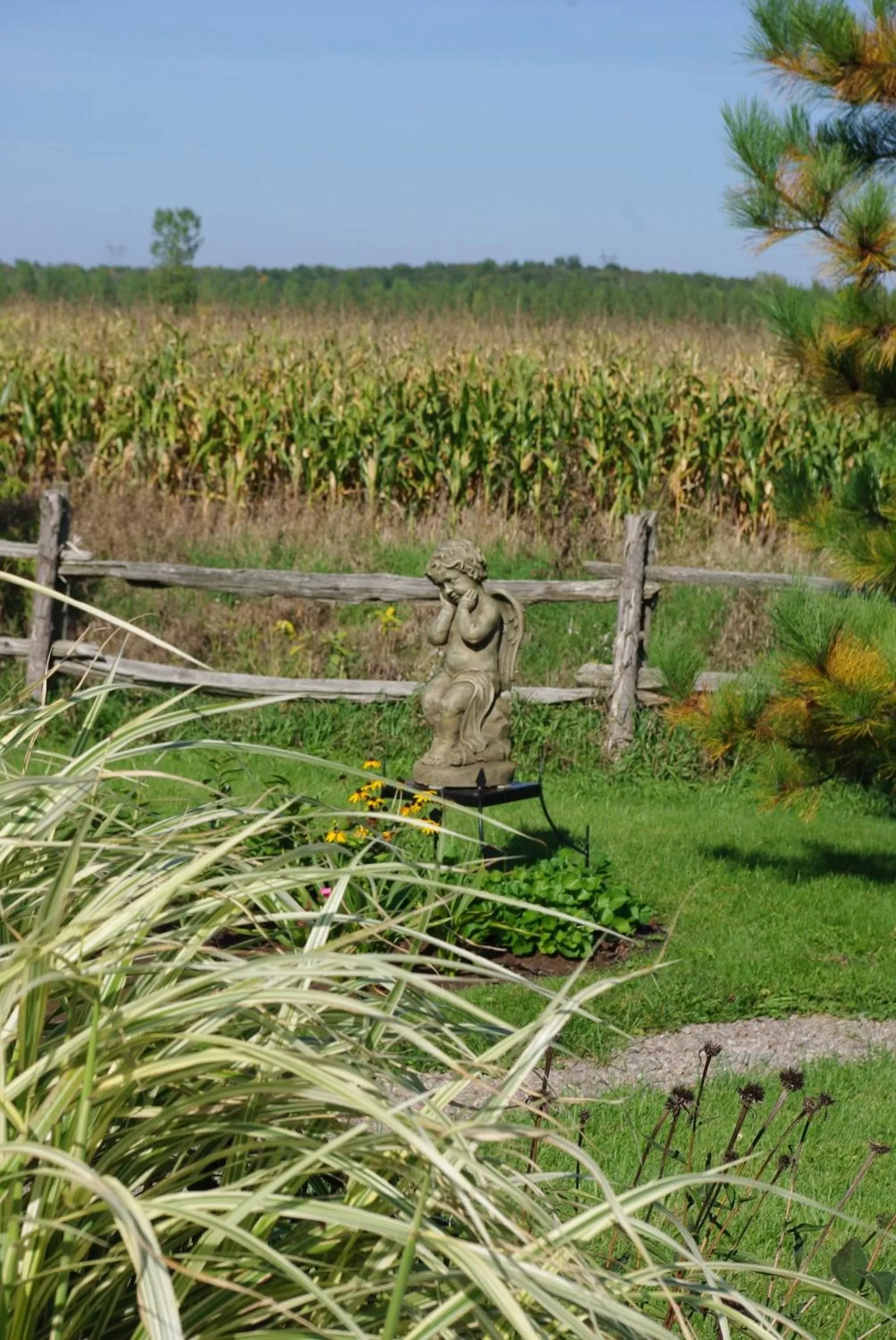 Garden in Atelier Galerie Anne Drouin Peinture & Pension