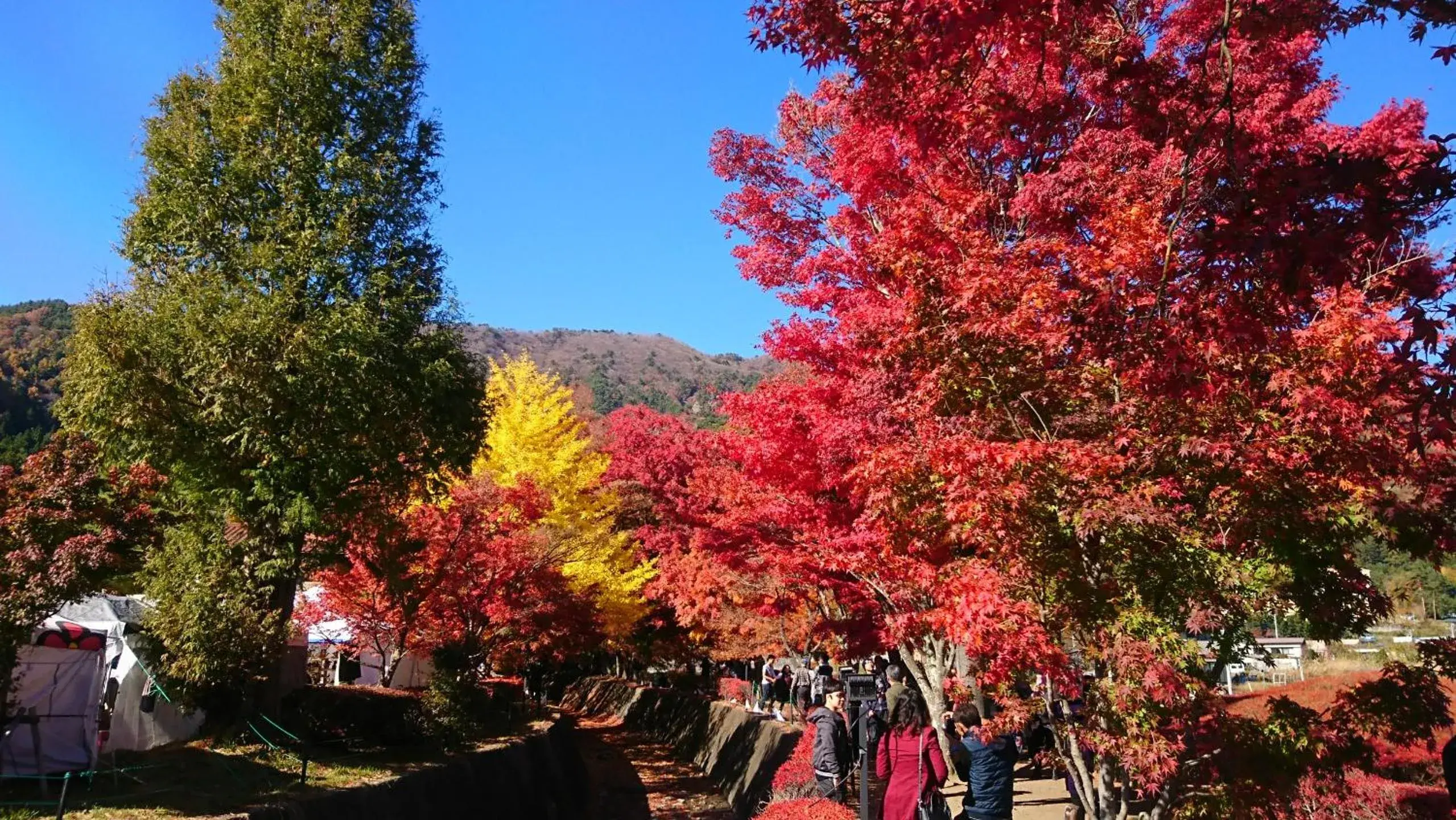 Autumn in Lakeland Hotel Mizunosato