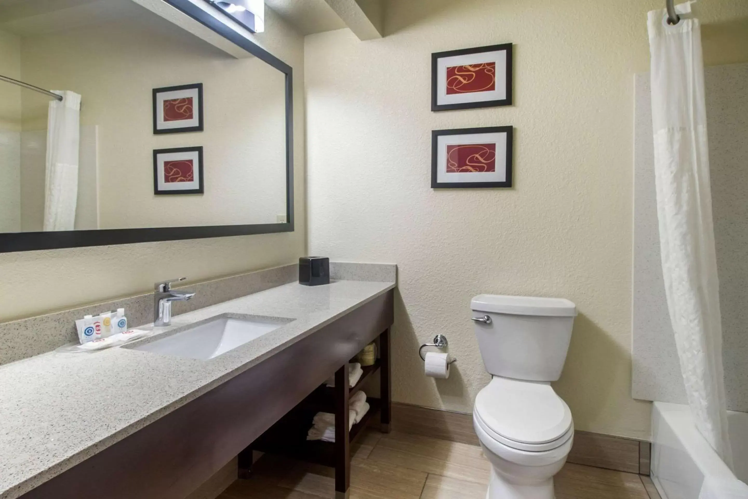 Bathroom in Comfort Suites Danville