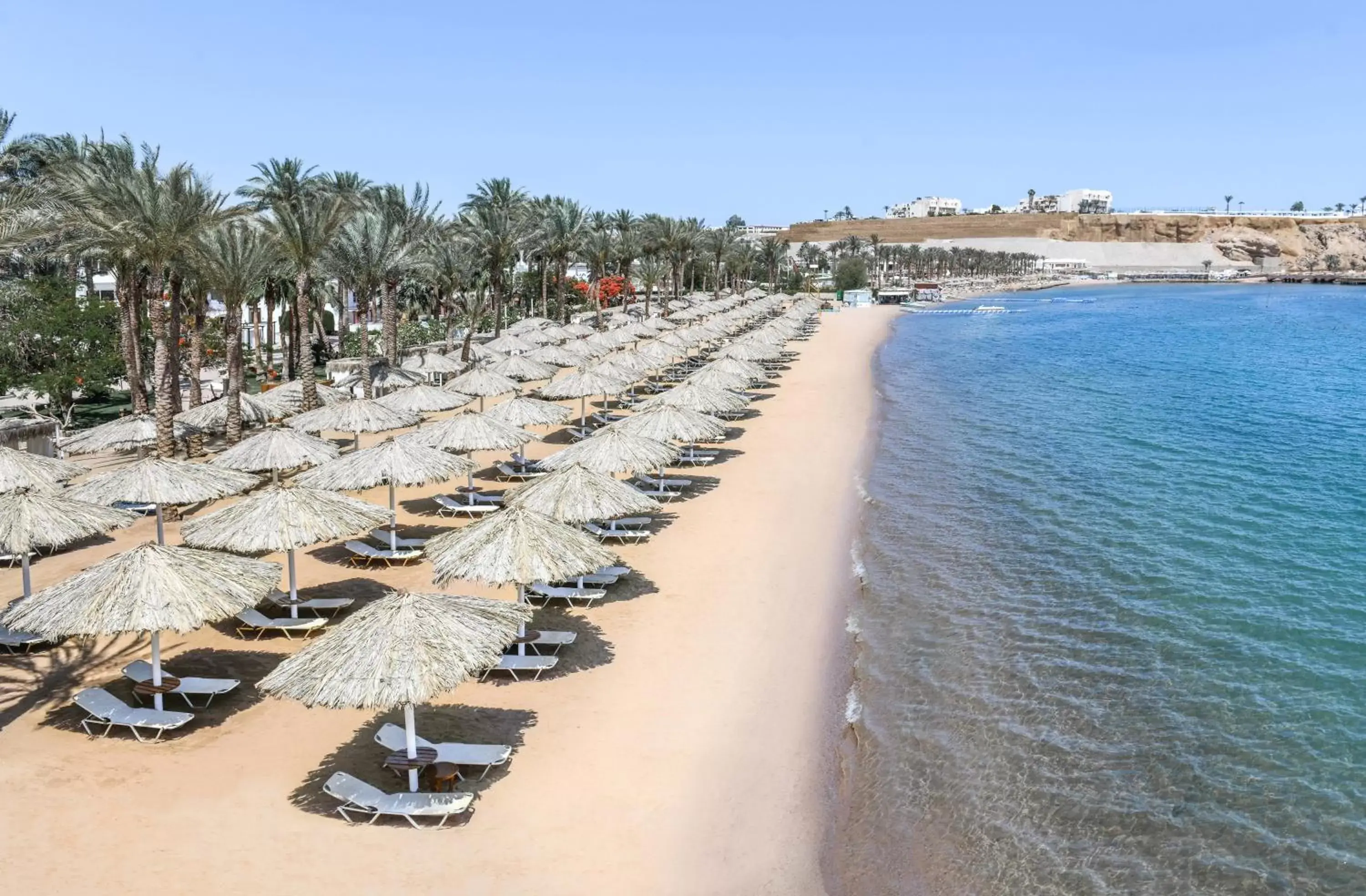 Beach in Iberotel Palace - Adults Friendly 16 Years Plus